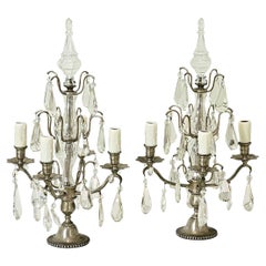 French 19th Century Pair of Wired Crystal Girandoles