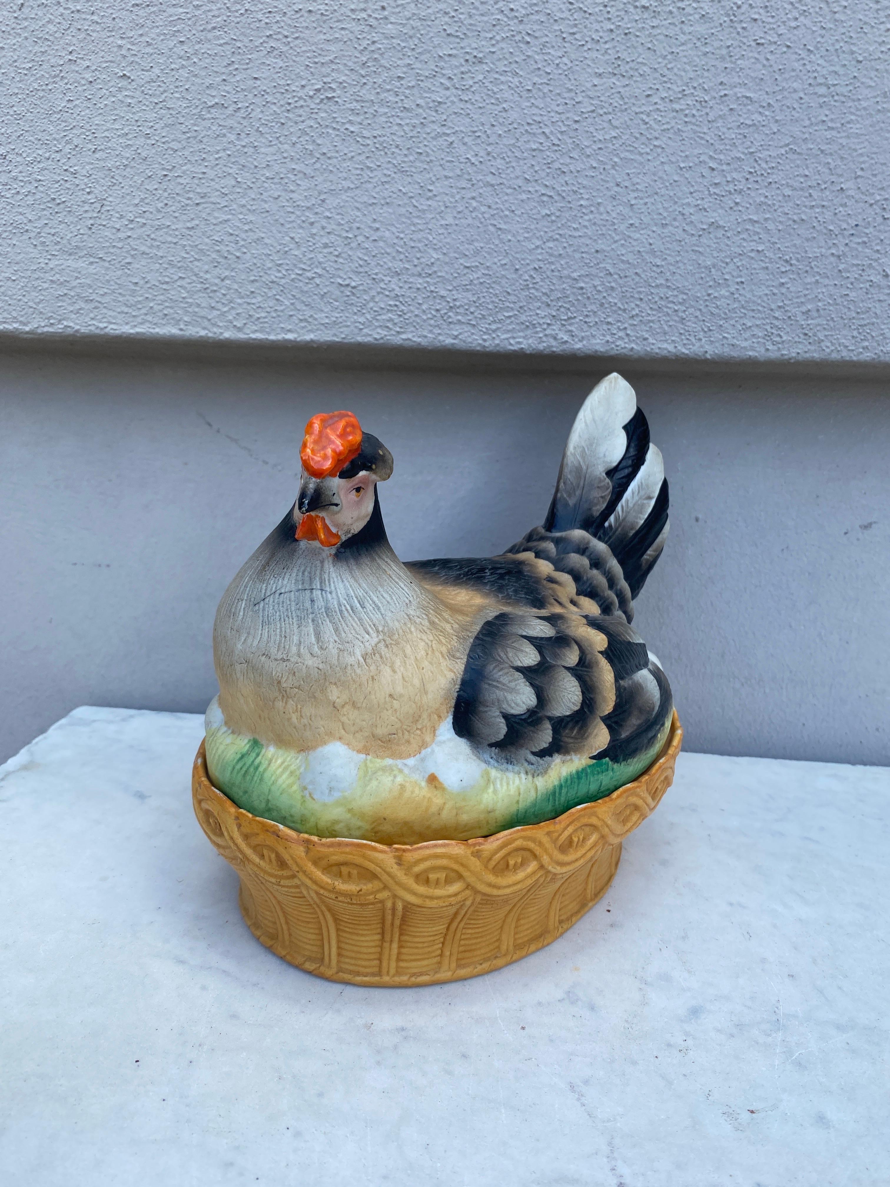 gallina porcelana