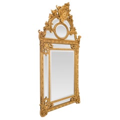 French 19th Century Régence St. Double Framed Giltwood Mirror