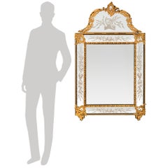 French 19th century Regence st. Napoleon III Period Ebony and Ormolu mirror