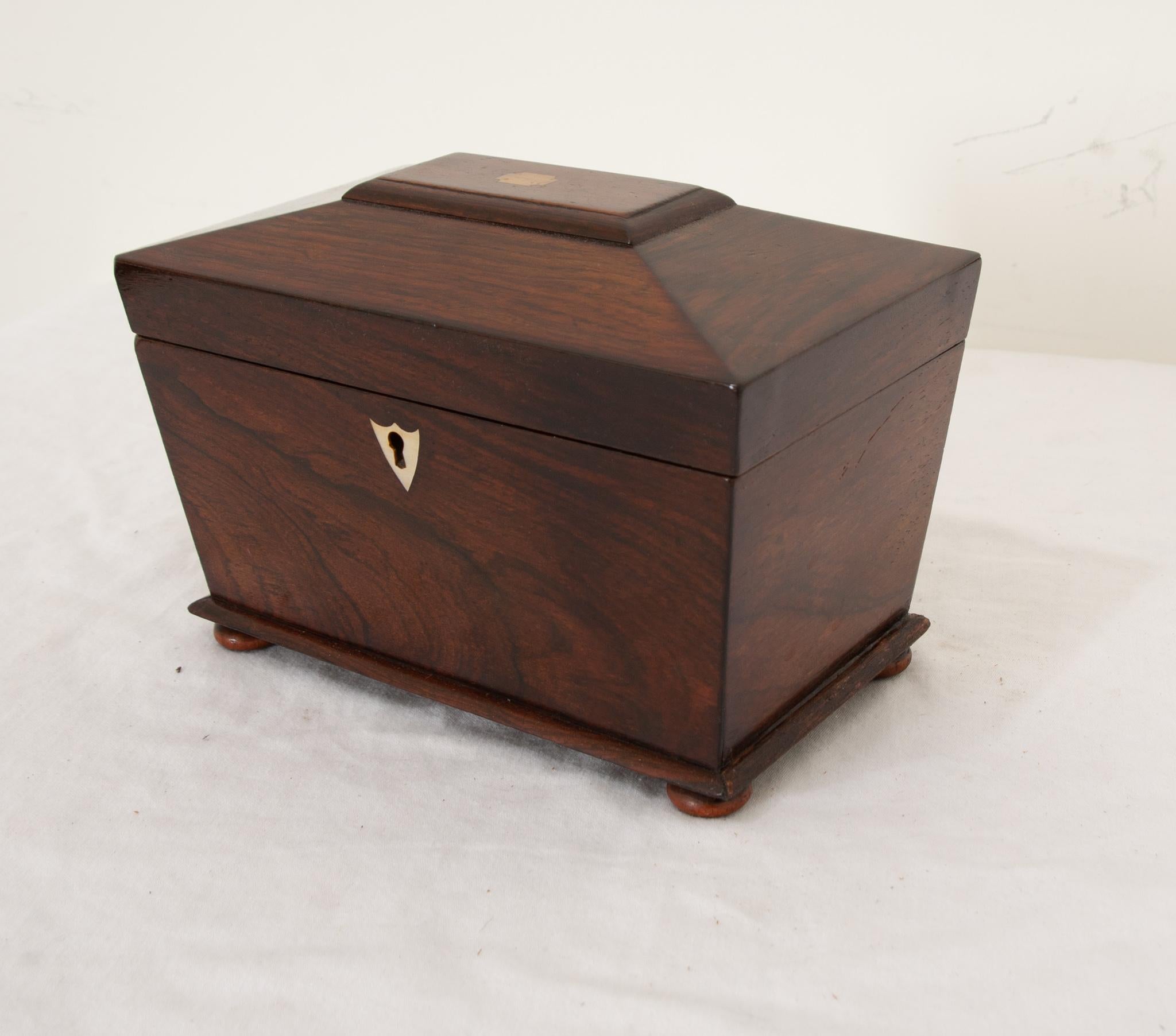French 19th Century Rosewood Tea Caddy 1