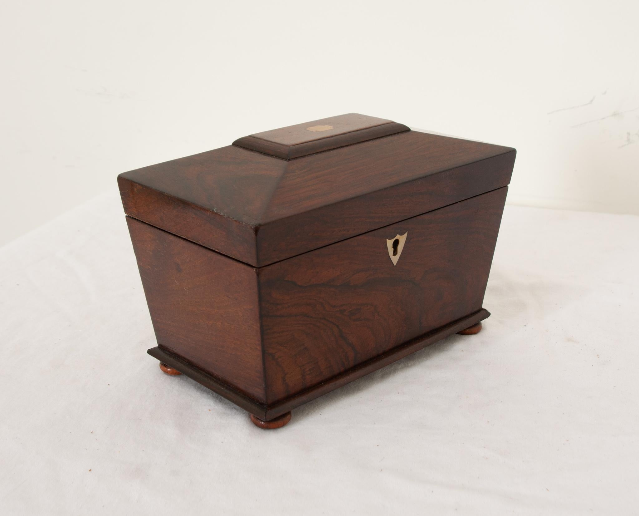 French 19th Century Rosewood Tea Caddy 3