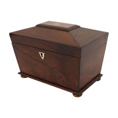 French 19th Century Rosewood Tea Caddy