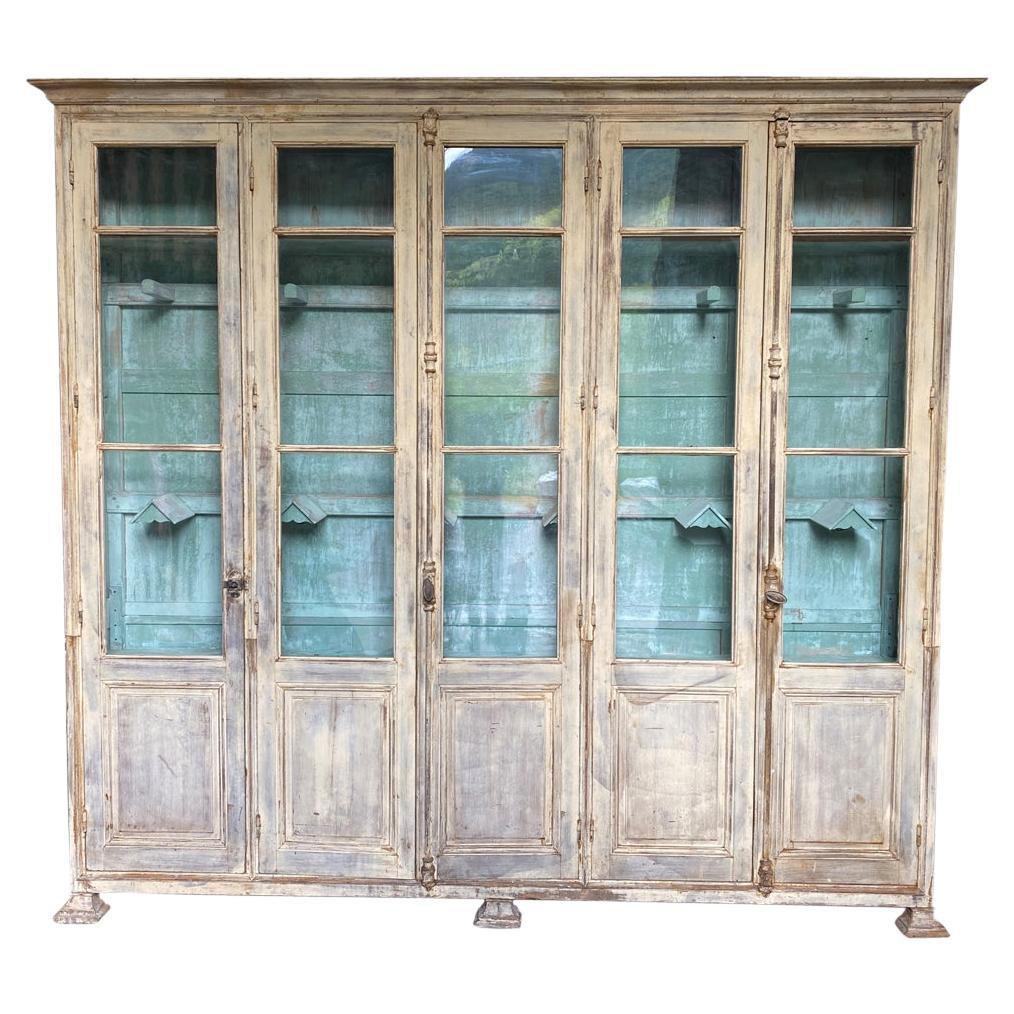 French 19th Century Saddle Display Case For Sale