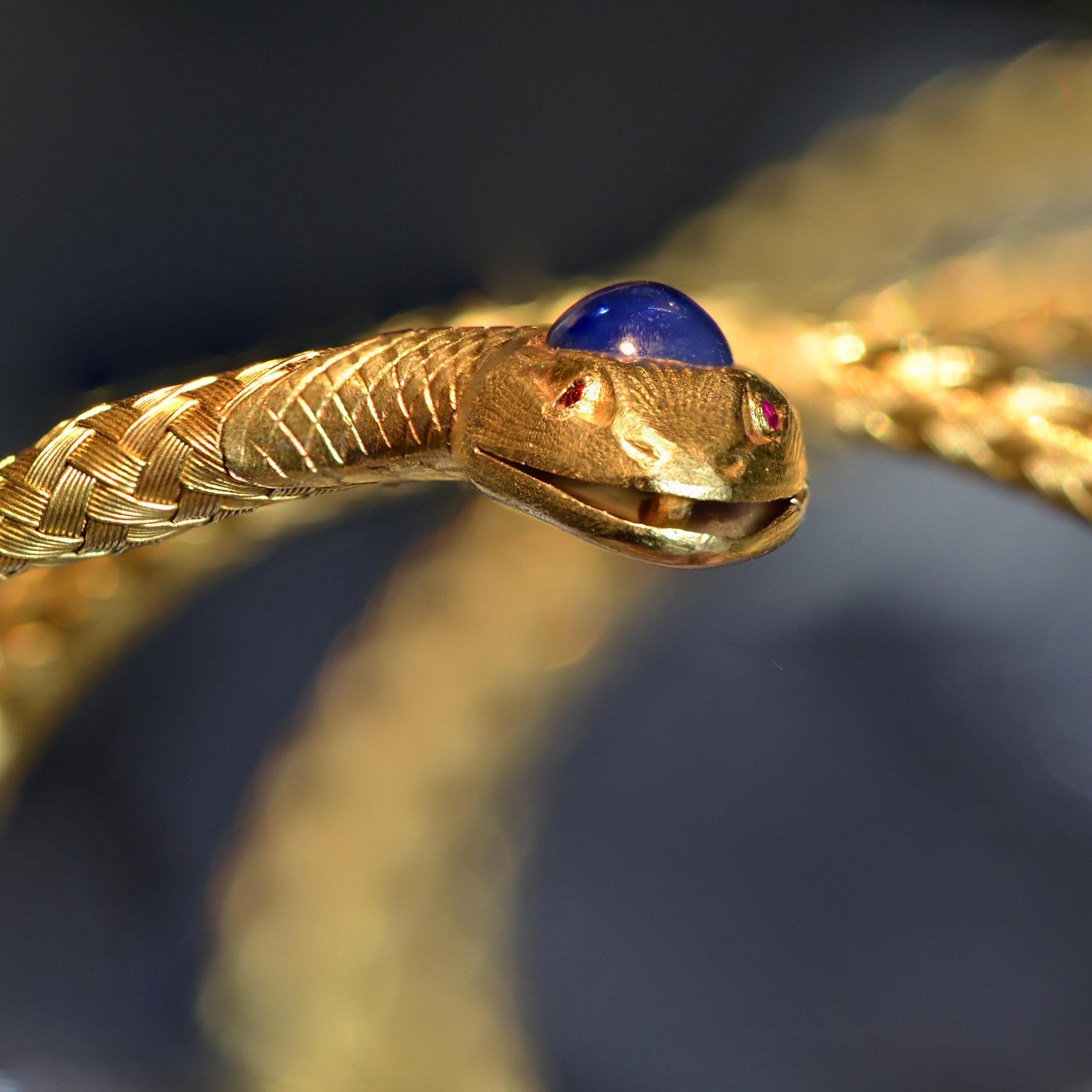 french snake