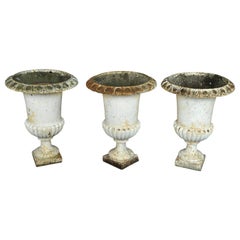 French 19th Century Set of 3 Jardinières