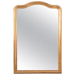 French 19th Century Shaped Giltwood Louis Philippe Mirror
