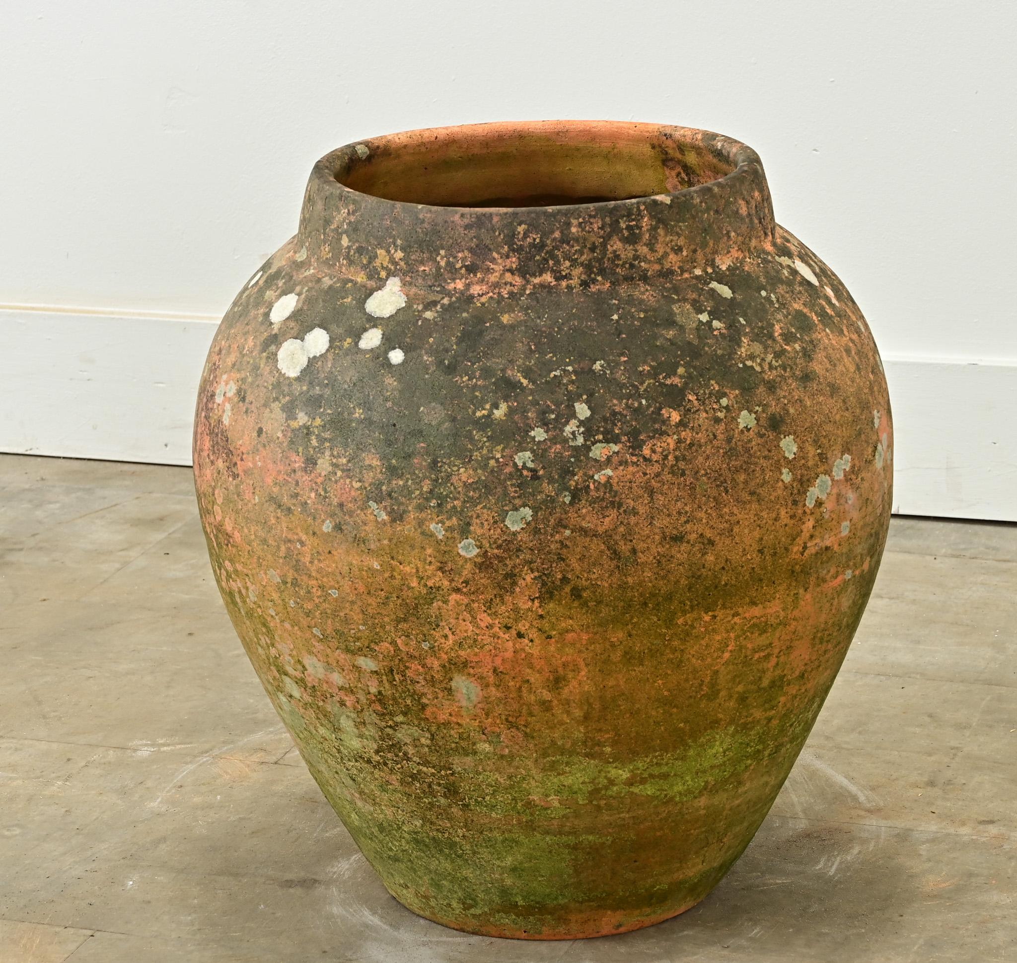 Altro Vaso di terracotta francese del XIX secolo in vendita
