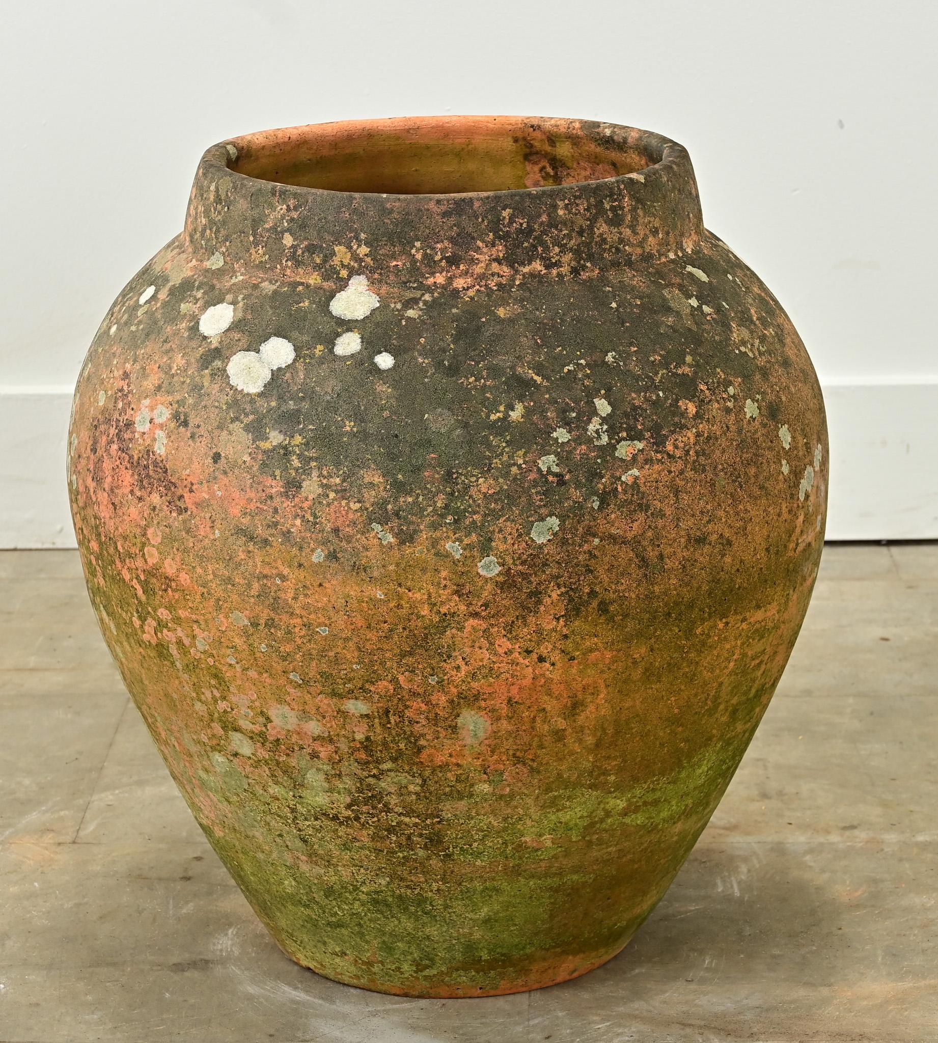 Francese Vaso di terracotta francese del XIX secolo in vendita