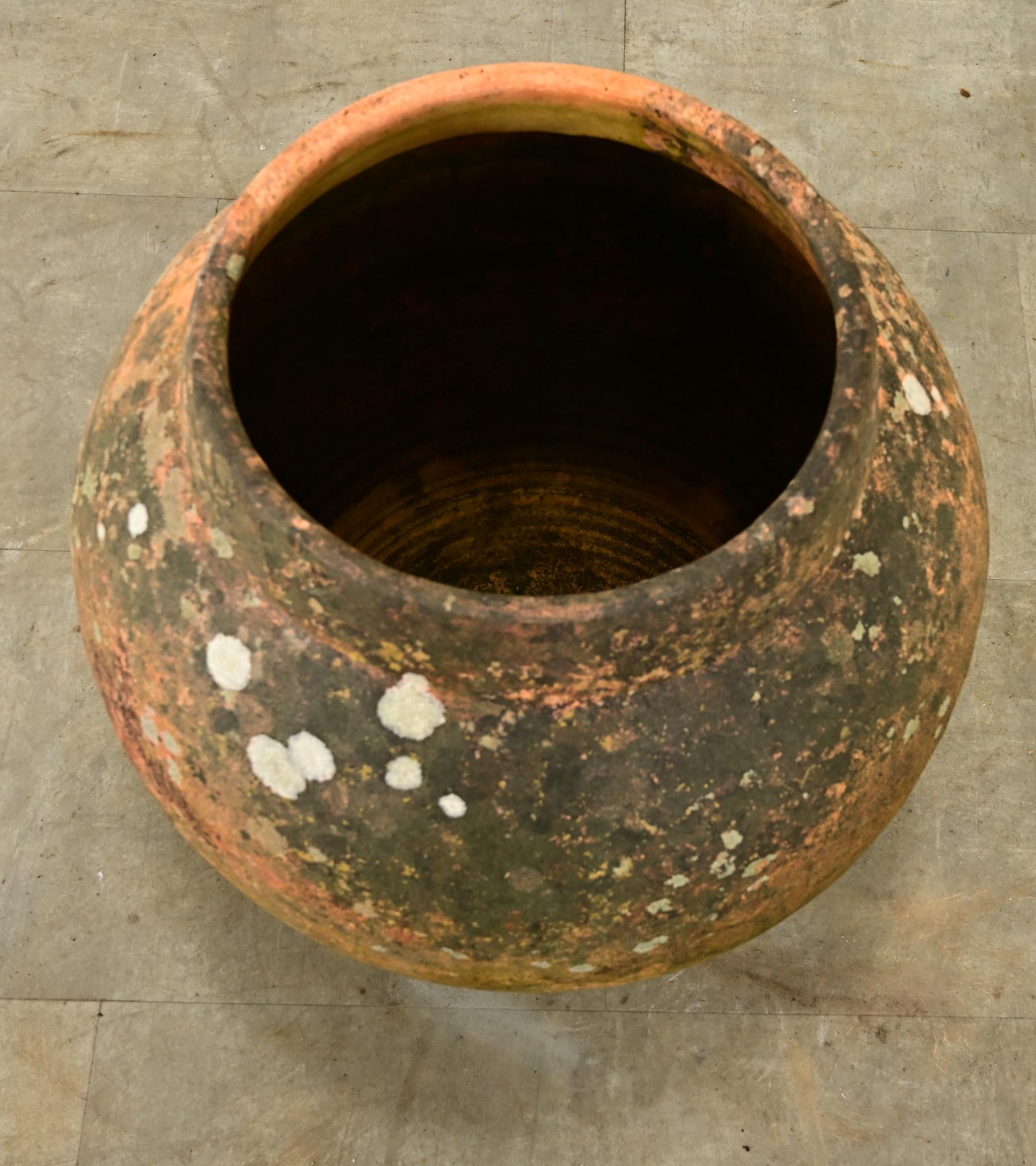 Vaso di terracotta francese del XIX secolo In condizioni buone in vendita a Baton Rouge, LA