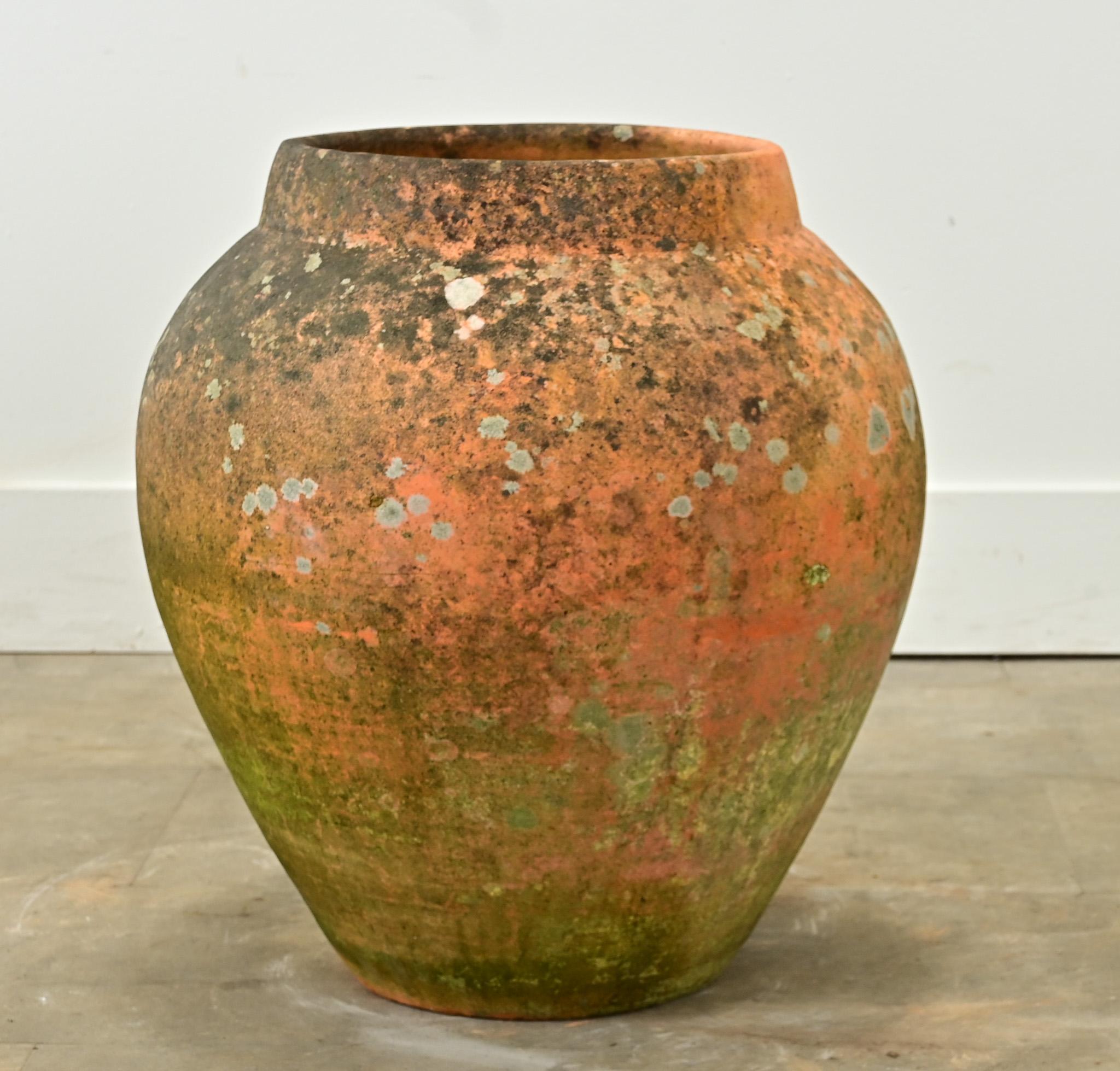 Terracotta Vaso di terracotta francese del XIX secolo in vendita