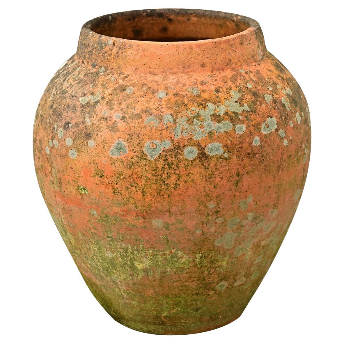 French 19th Century Terracotta Jar
