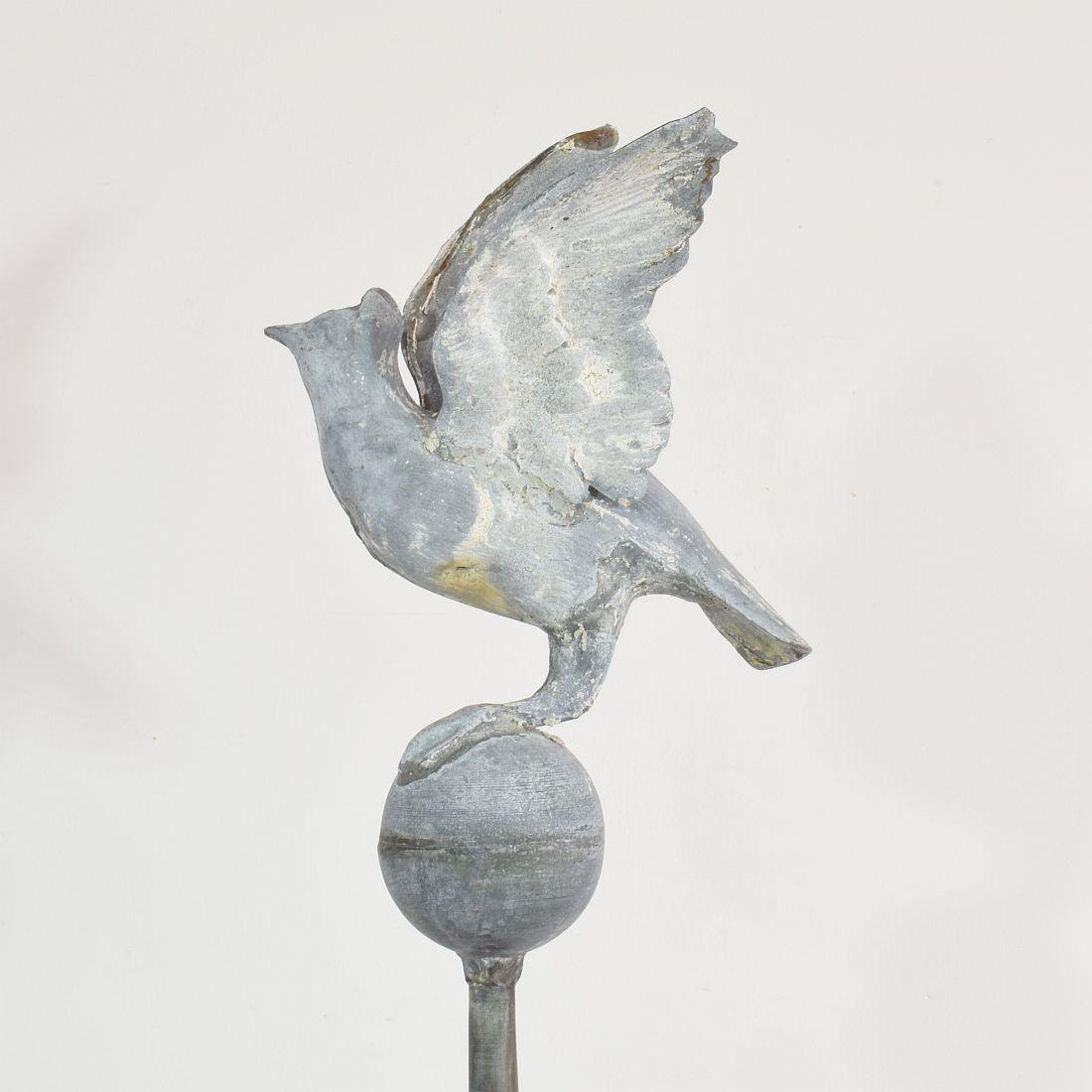 French 19th Century Zinc Roof Finial with a Dove 6