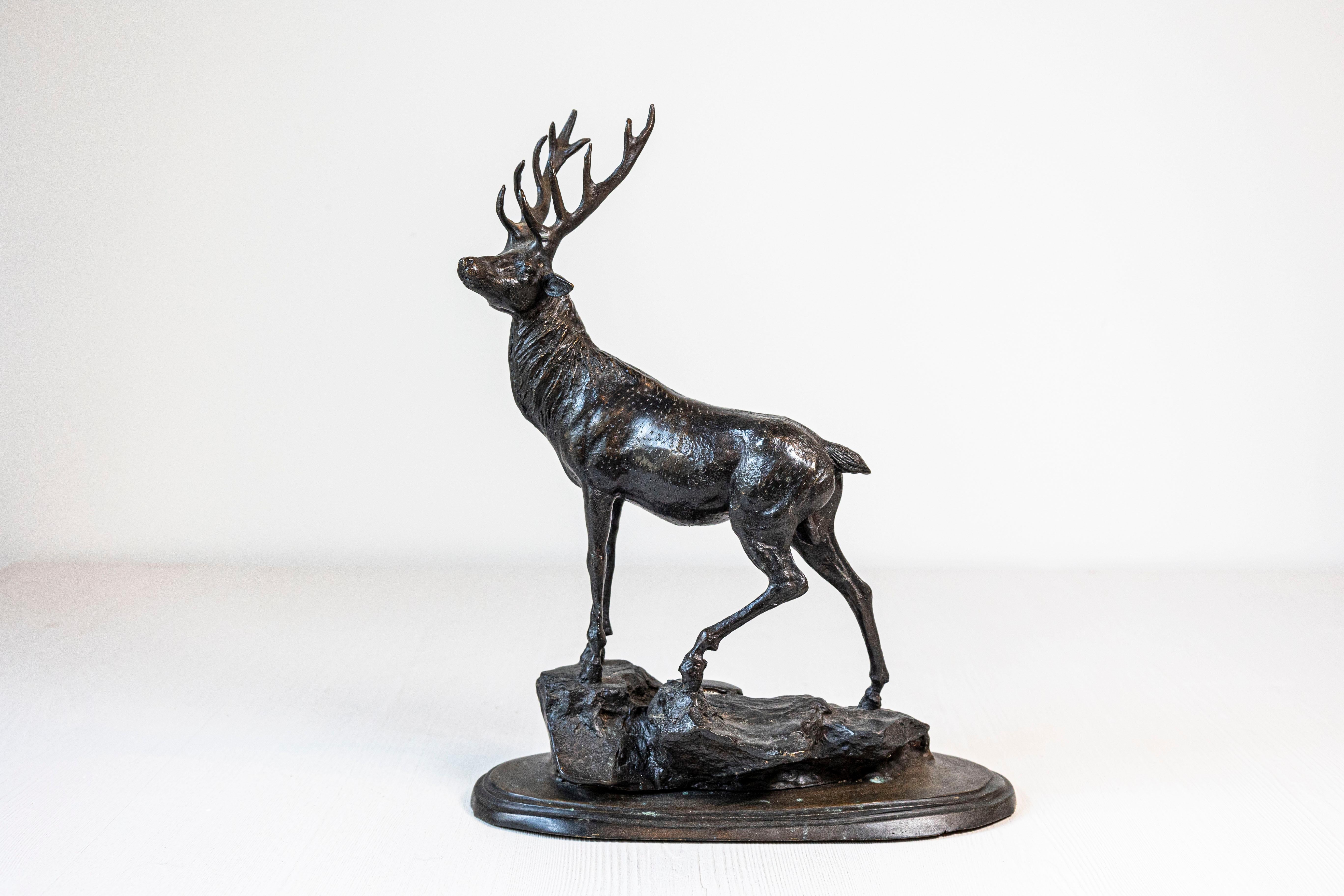 French 20th Century Bronze Statue of a Deer Circa 1920 7