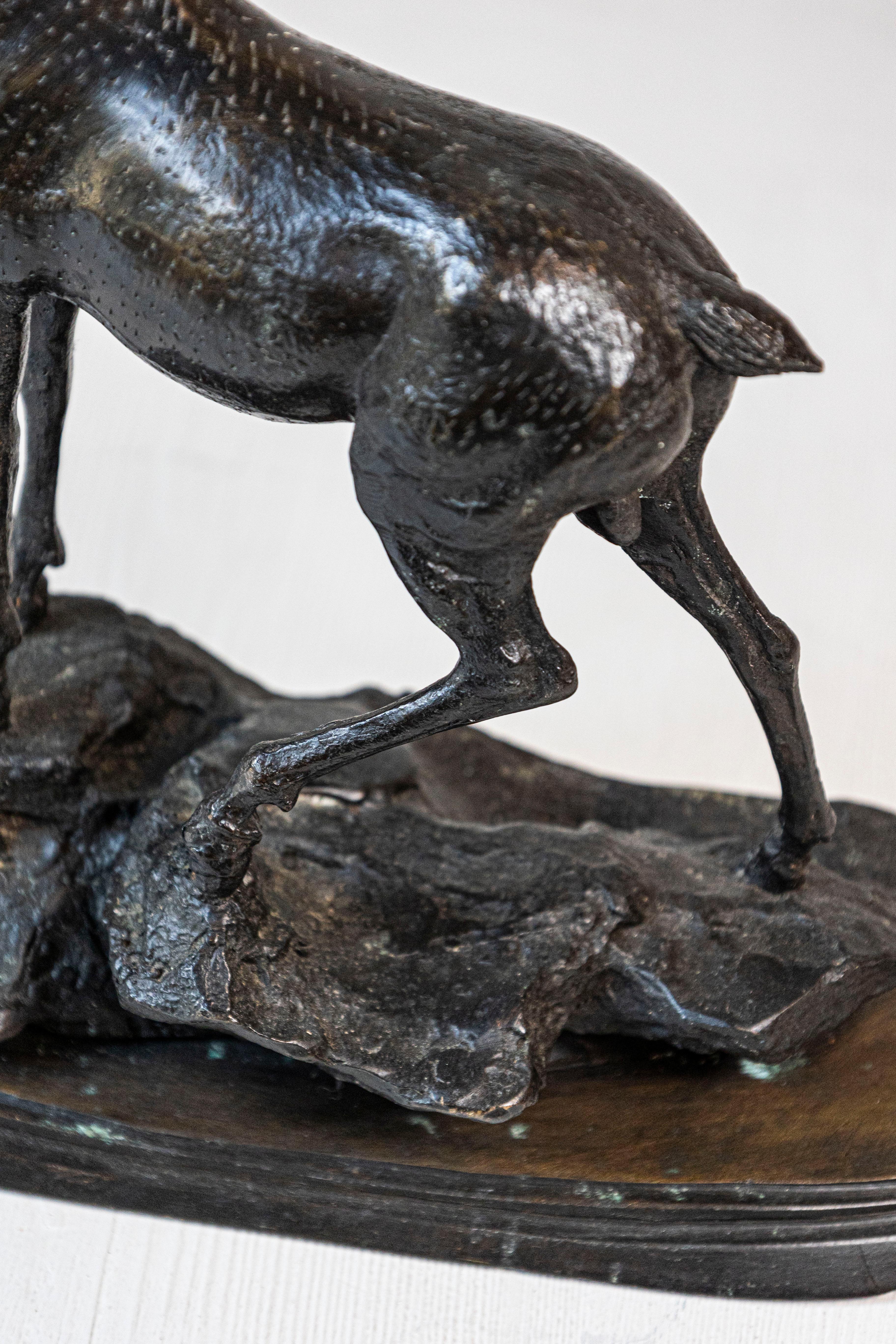 French 20th Century Bronze Statue of a Deer Circa 1920 4