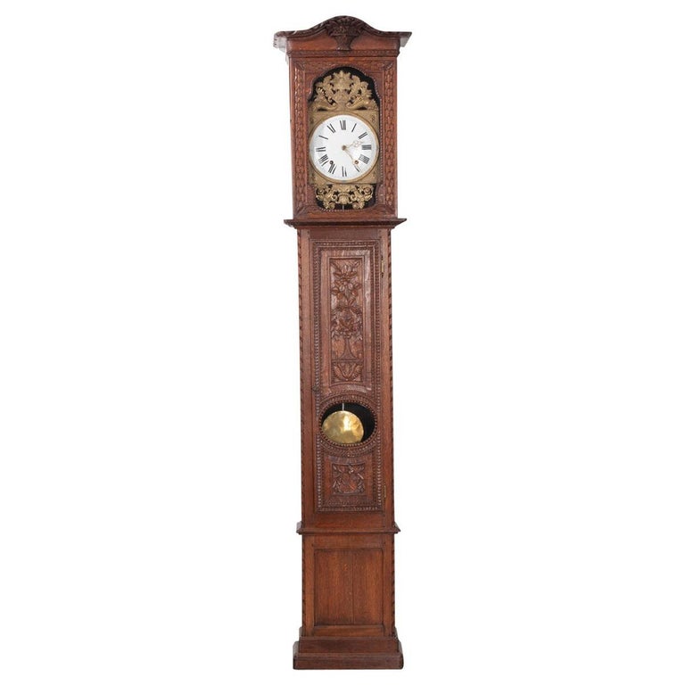 French 19th Century Provincial Horloge Case Clock For Sale