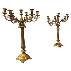 French 7 Light Bronze Candelabras, a Pair
