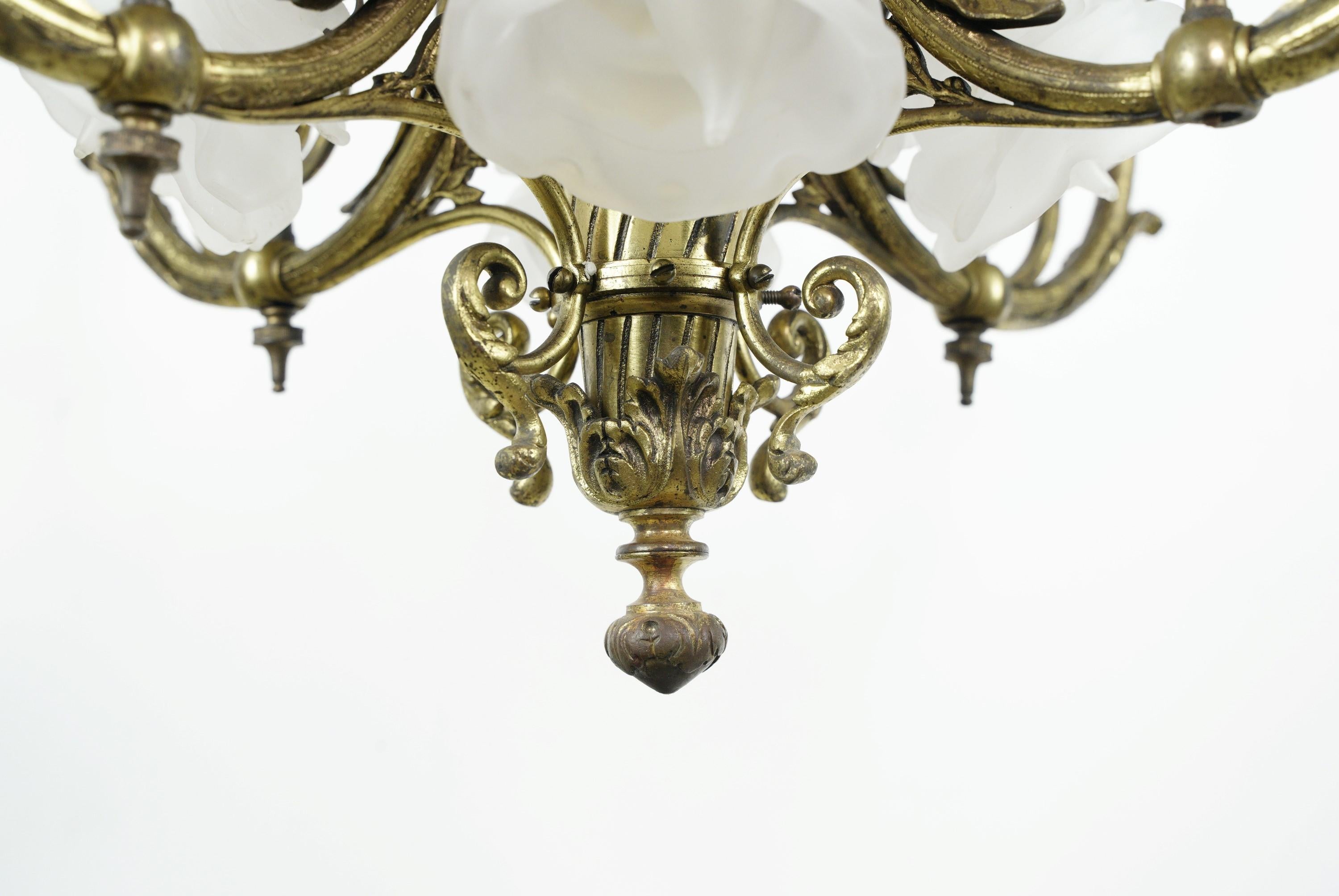 Unknown French 8 Light Brass Floral Chandelier Frosted Shades