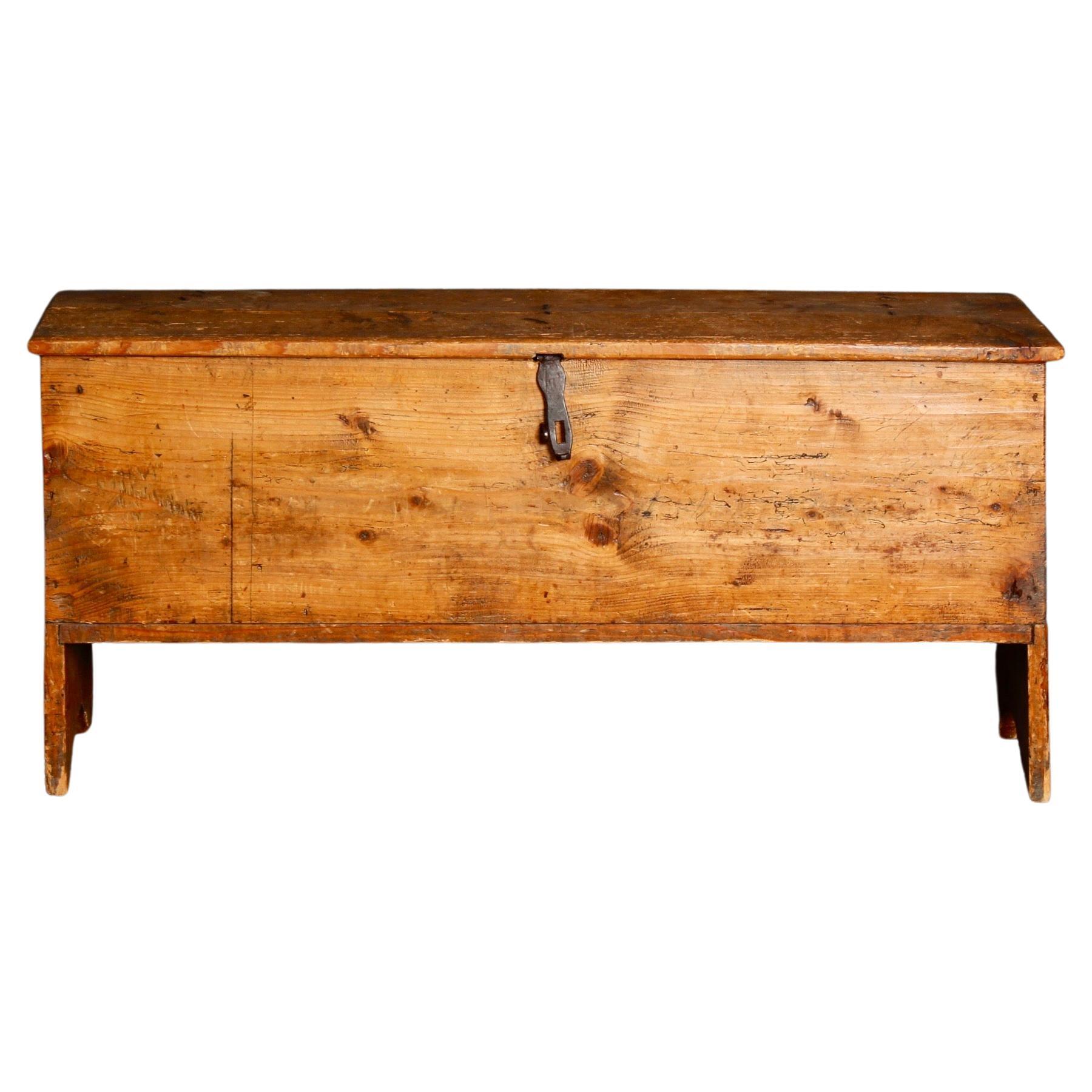 French alp trunk from Haute savoie region  For Sale