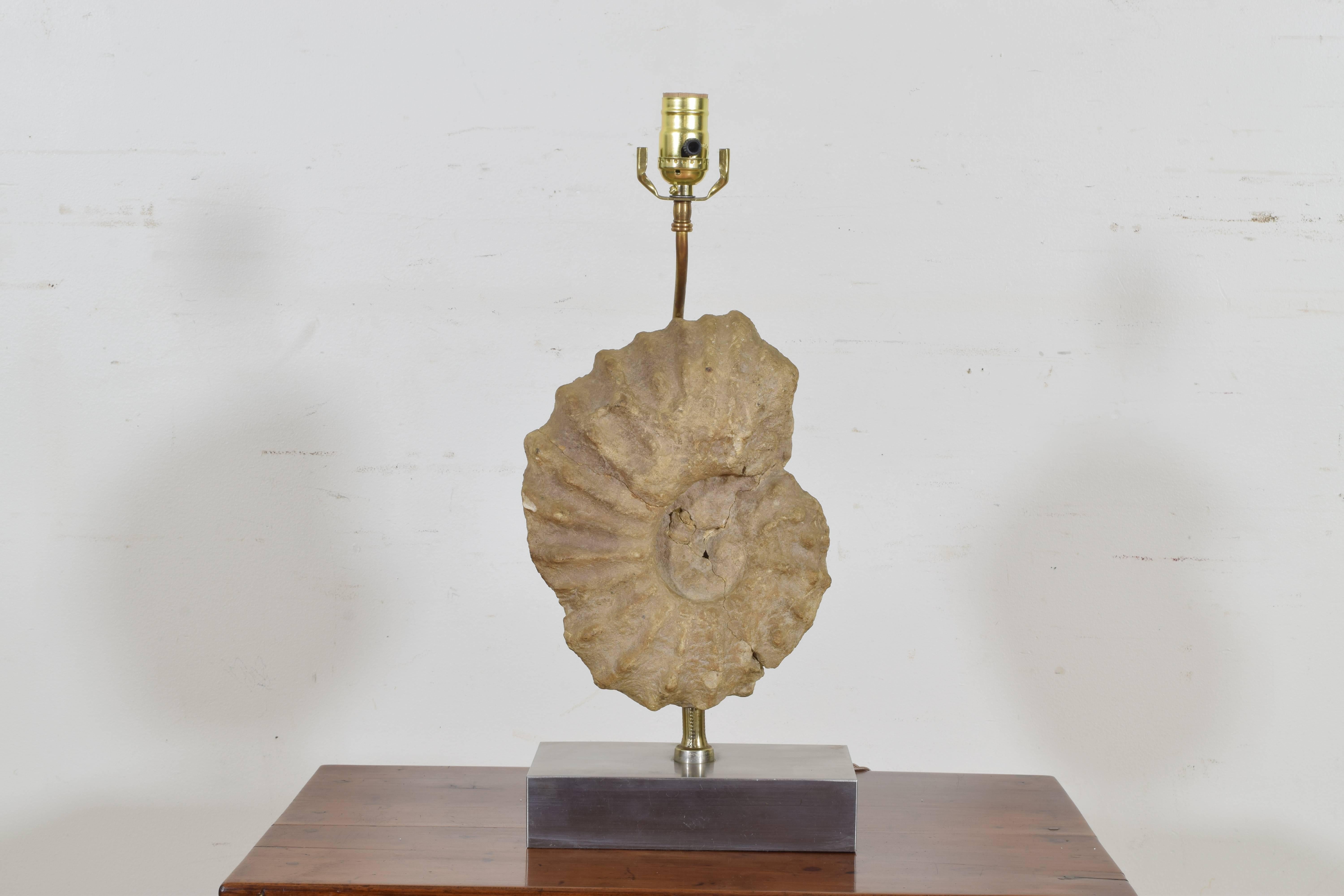 French Ammonite Fossil Mounted as a Table Lamp on a Brushed Steel Base In Excellent Condition In Atlanta, GA