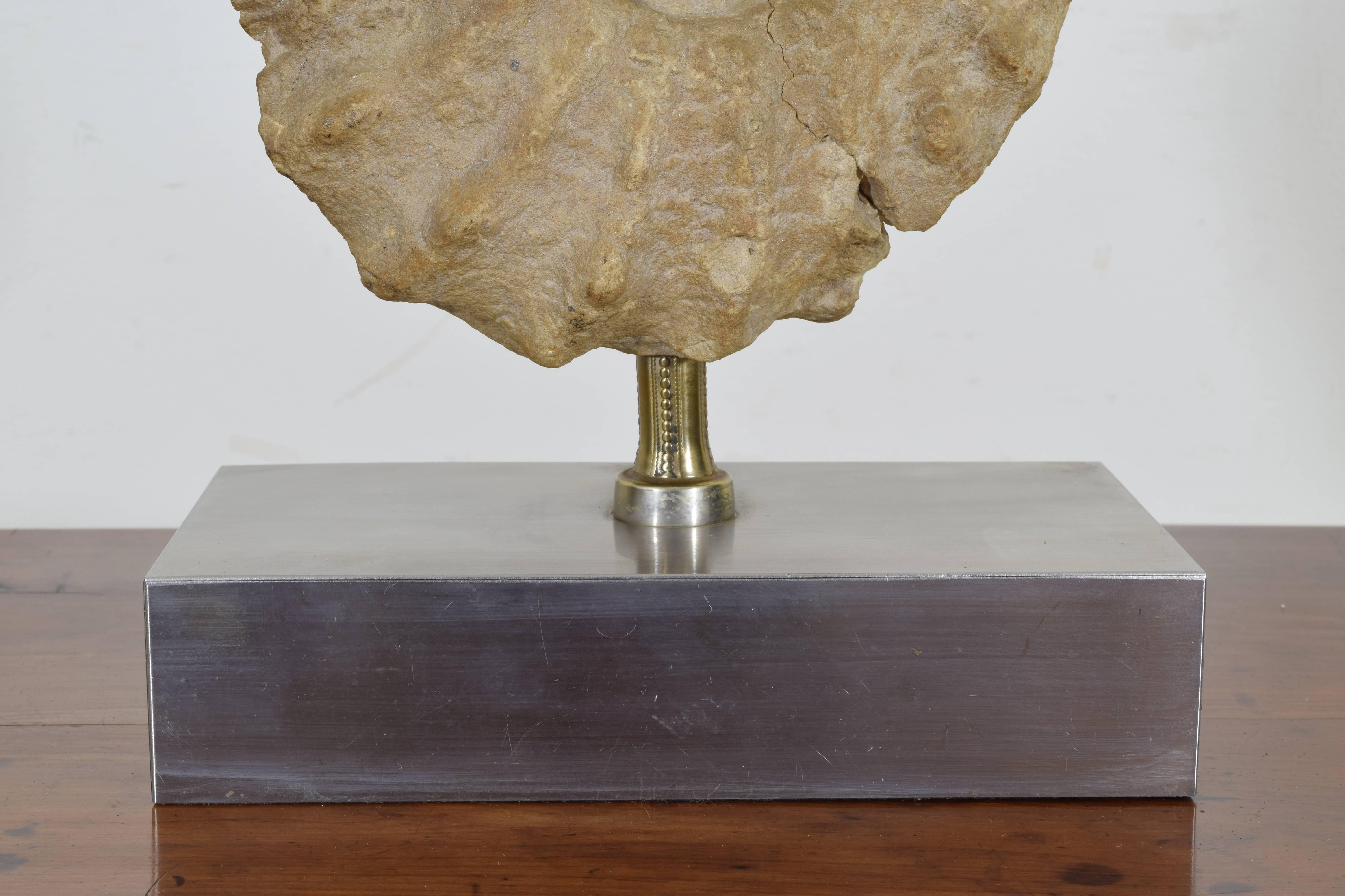 Metal French Ammonite Fossil Mounted as a Table Lamp on a Brushed Steel Base