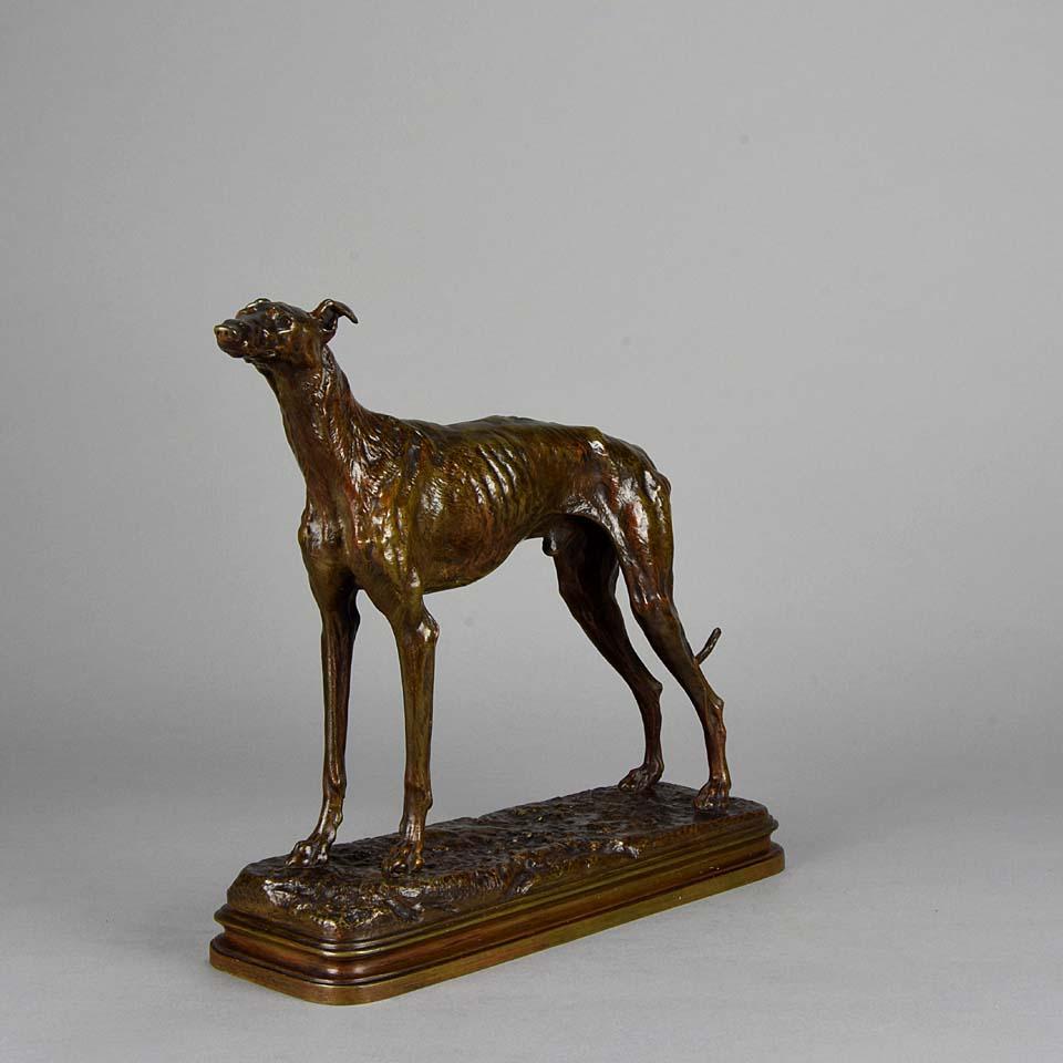 Impressionnante figurine en bronze d'animaliers représentant un lévrier debout. La surface présente une merveilleuse patine brun moyen et rouge profond:: rehaussée de détails finement ciselés:: qui aident à représenter la musculature légère de cette
