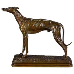 French Animalier Bronze Entitled "Lèvrier Debout" by Alfred Dubucand