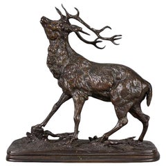 Étude animalière française en bronze intitulée "Cerf Douze Cors" par Ferdinand Pautrot