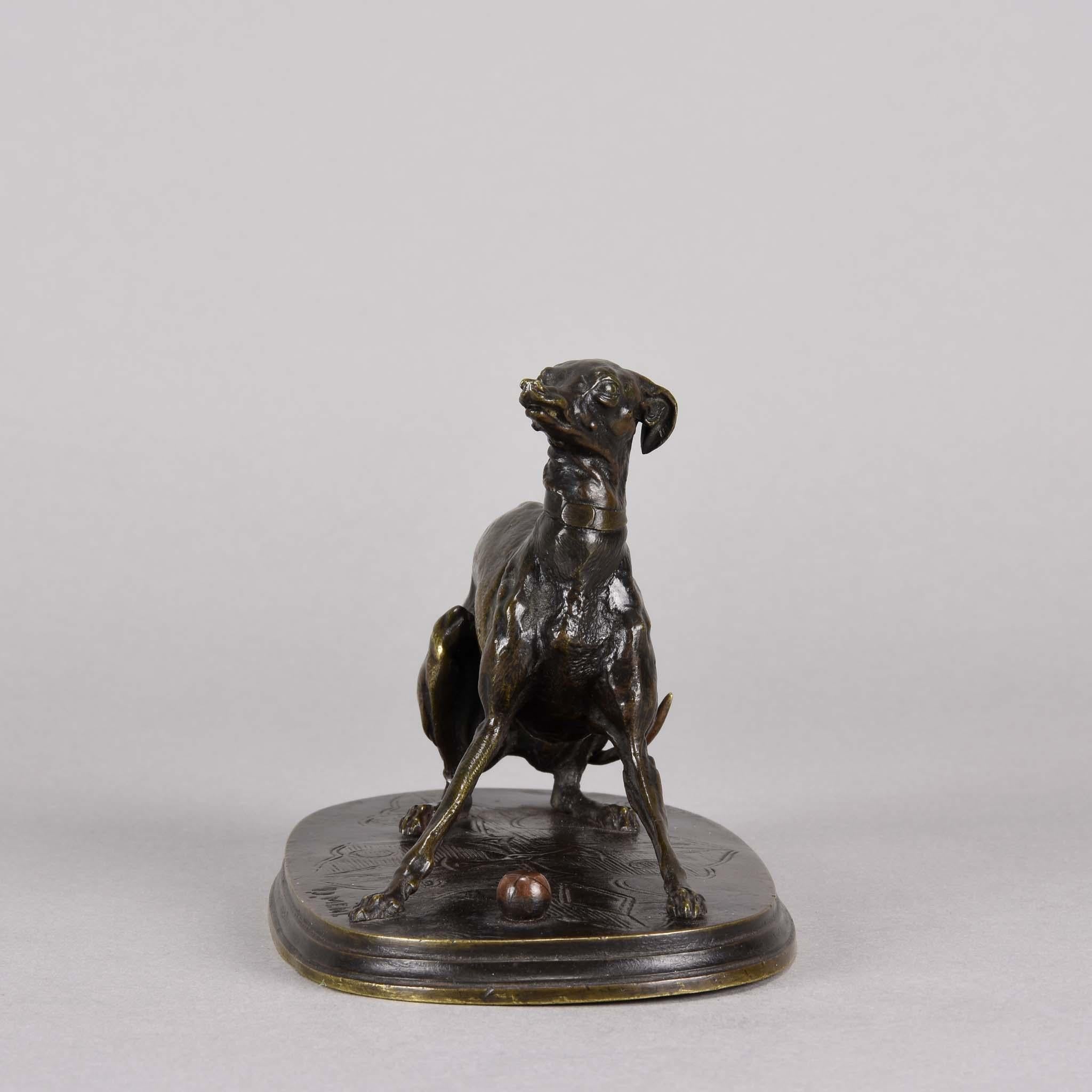 Delightful mid-19th century French Animaliers bronze study of a playful Whippet looking up in an attitude to play with a ball at her feet, with rich brown rubbed to a golden color and fine hand chased surface detail. Signed P J Mene and raised on a