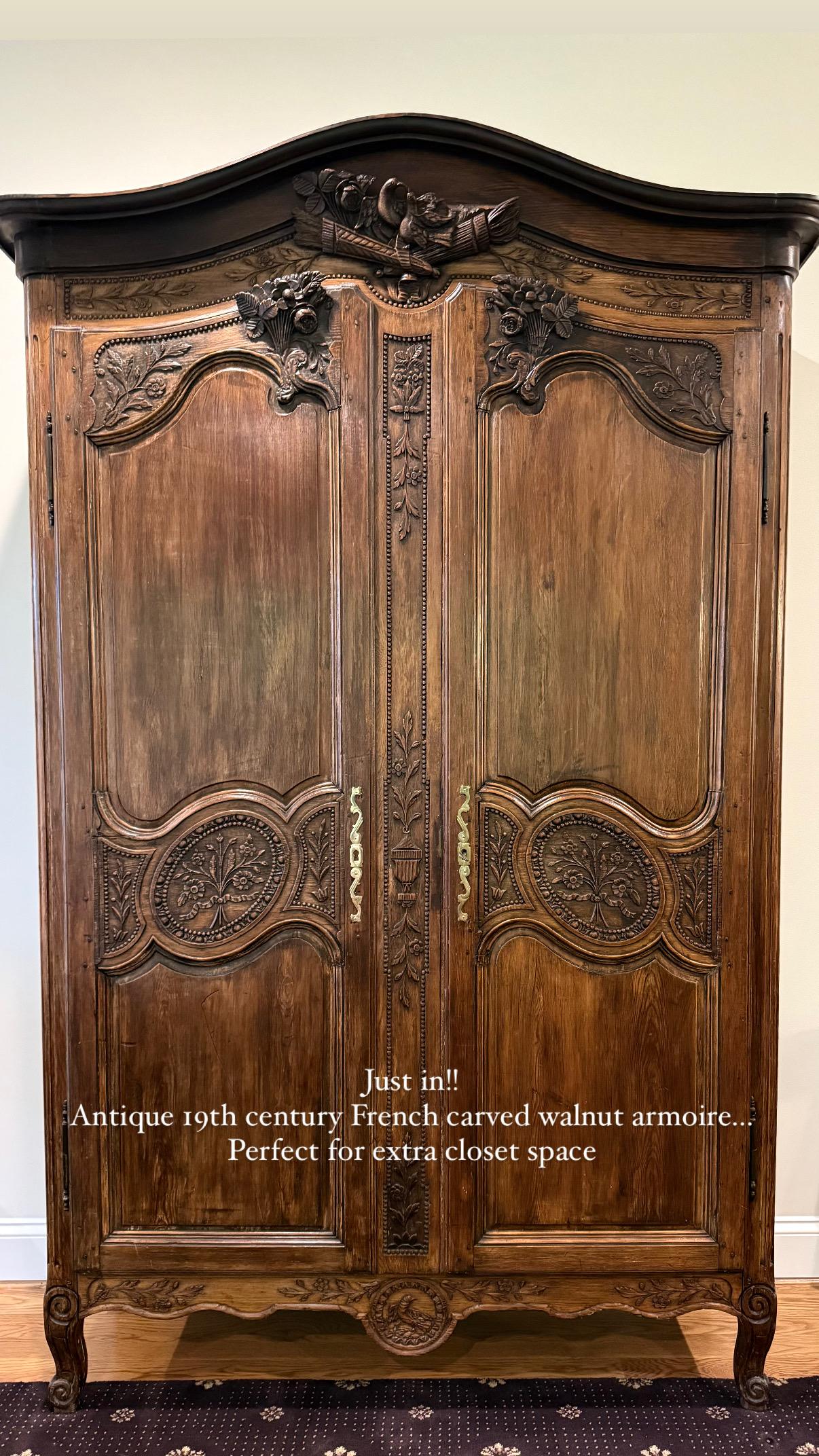 Antique French del XIX secolo, armadio in noce intagliato a mano in vendita 4