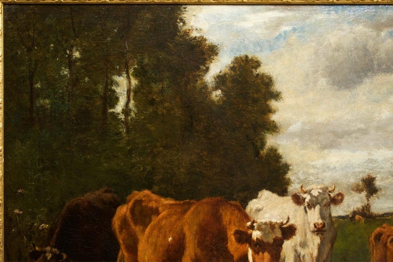 A large and very fine pastoral landscape painting of five cows at the watering hole in an open field before a group of trees, the work feels very immediate with the two nearest cows and the calf looking up at the viewer and watching any onlooker