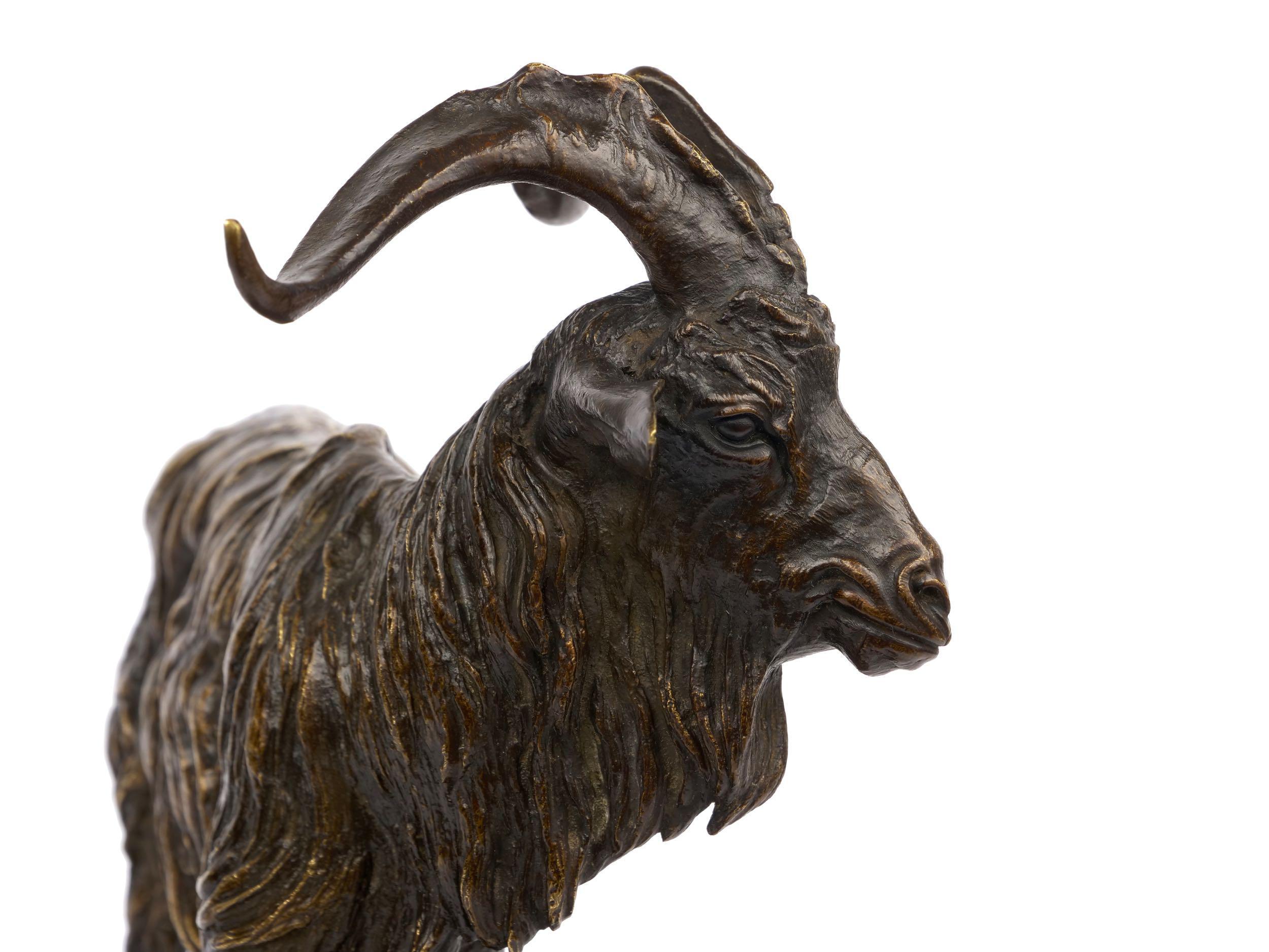 French Antique Bronze Sculpture “Le Bouc no. 1” Goat by Pierre Jules Mene 3