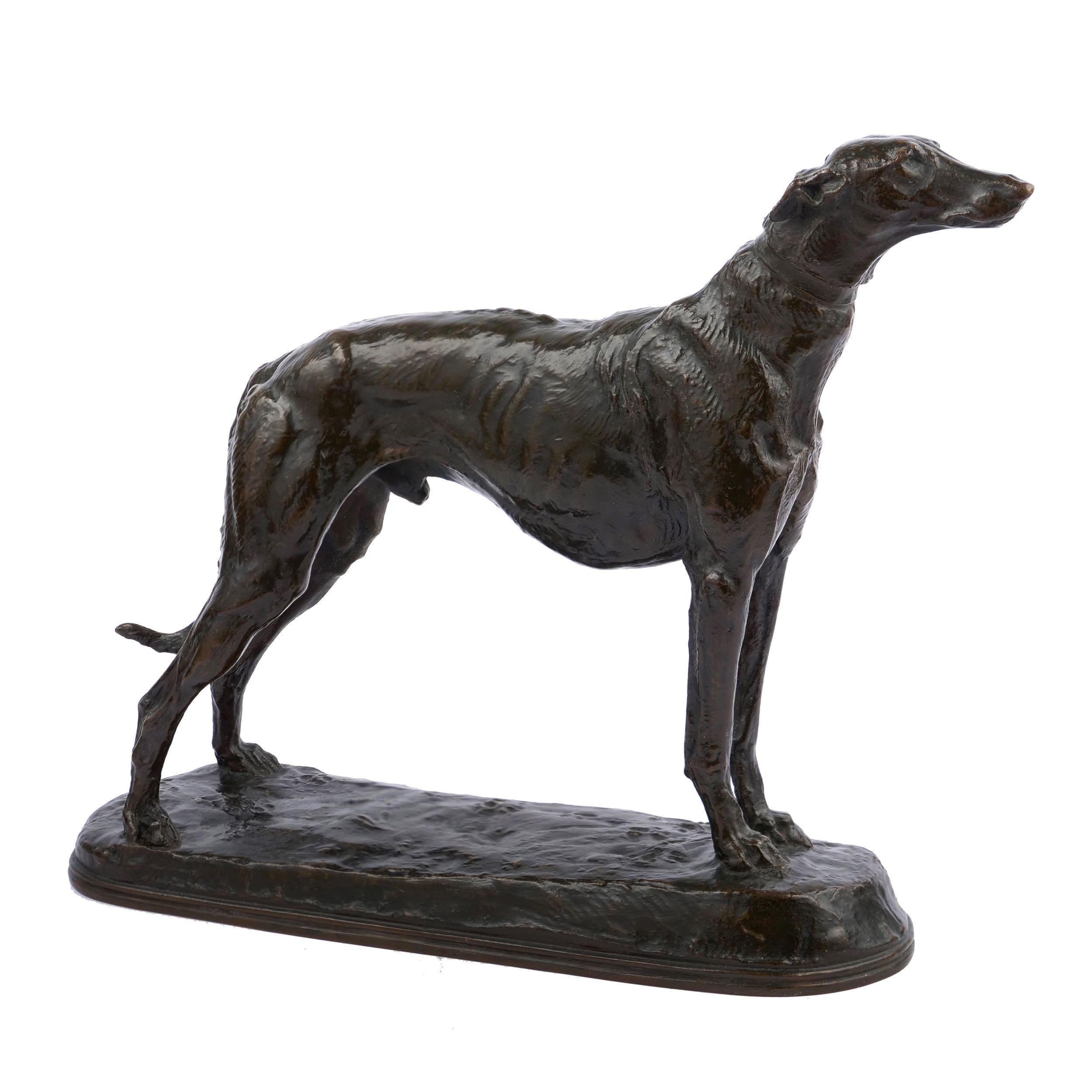 An exquisite model of a standing greyhound by Emmanuel Fremiet, this was originally debuted as a pair of greyhounds with the present figure being the larger of the two dogs. The single greyhound model is quite scarce and is a powerful example of