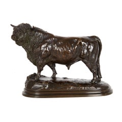 French, Antique Bronze Sculpture of Aberdeen Angus Bull by Isidore Bonheur