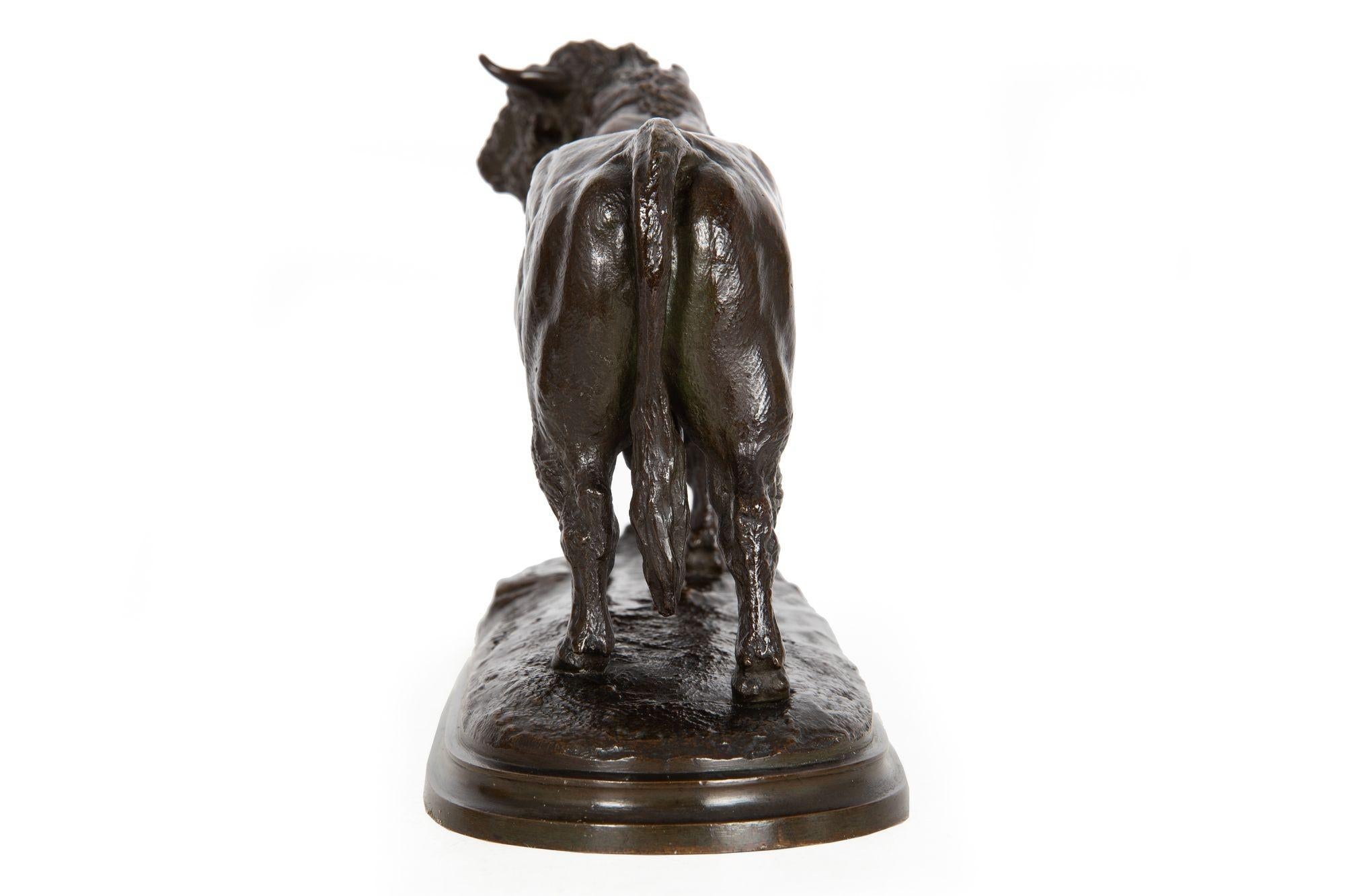 Französische, antike Bronzeskulptur des Aberdeen Angus-Schwiegers von Isidore Bonheur (19. Jahrhundert) im Angebot