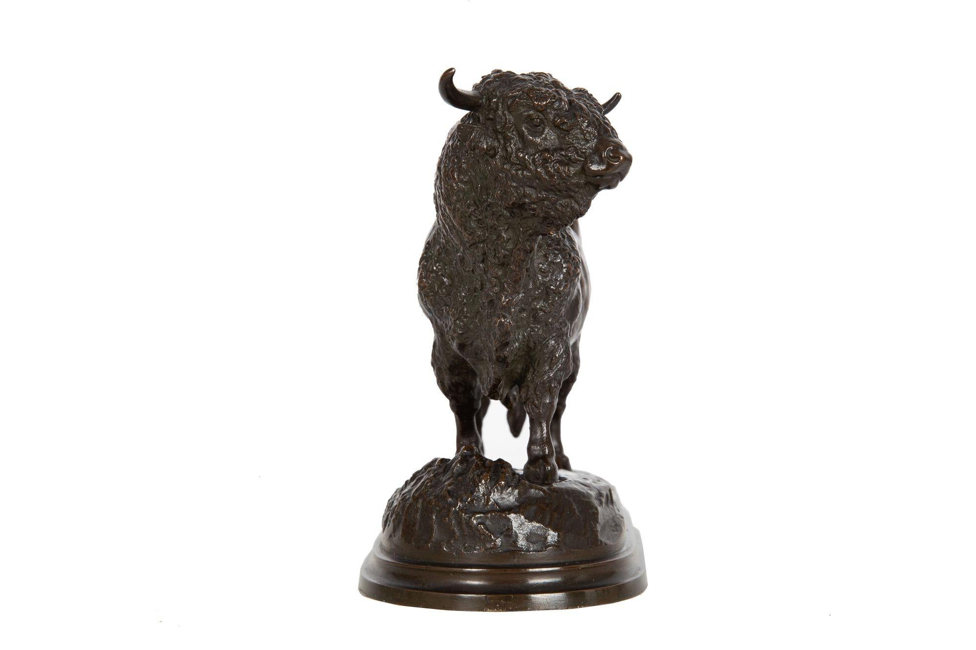 19th Century French, Antique Bronze Sculpture of Aberdeen Angus Bull by Isidore Bonheur For Sale