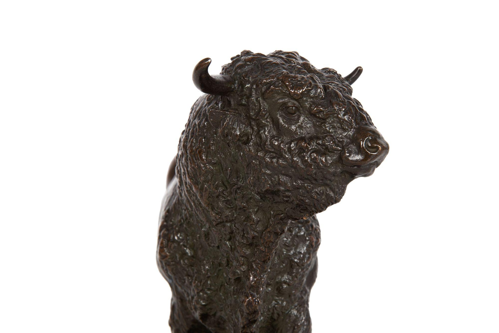 French, Antique Bronze Sculpture of Aberdeen Angus Bull by Isidore Bonheur For Sale 1
