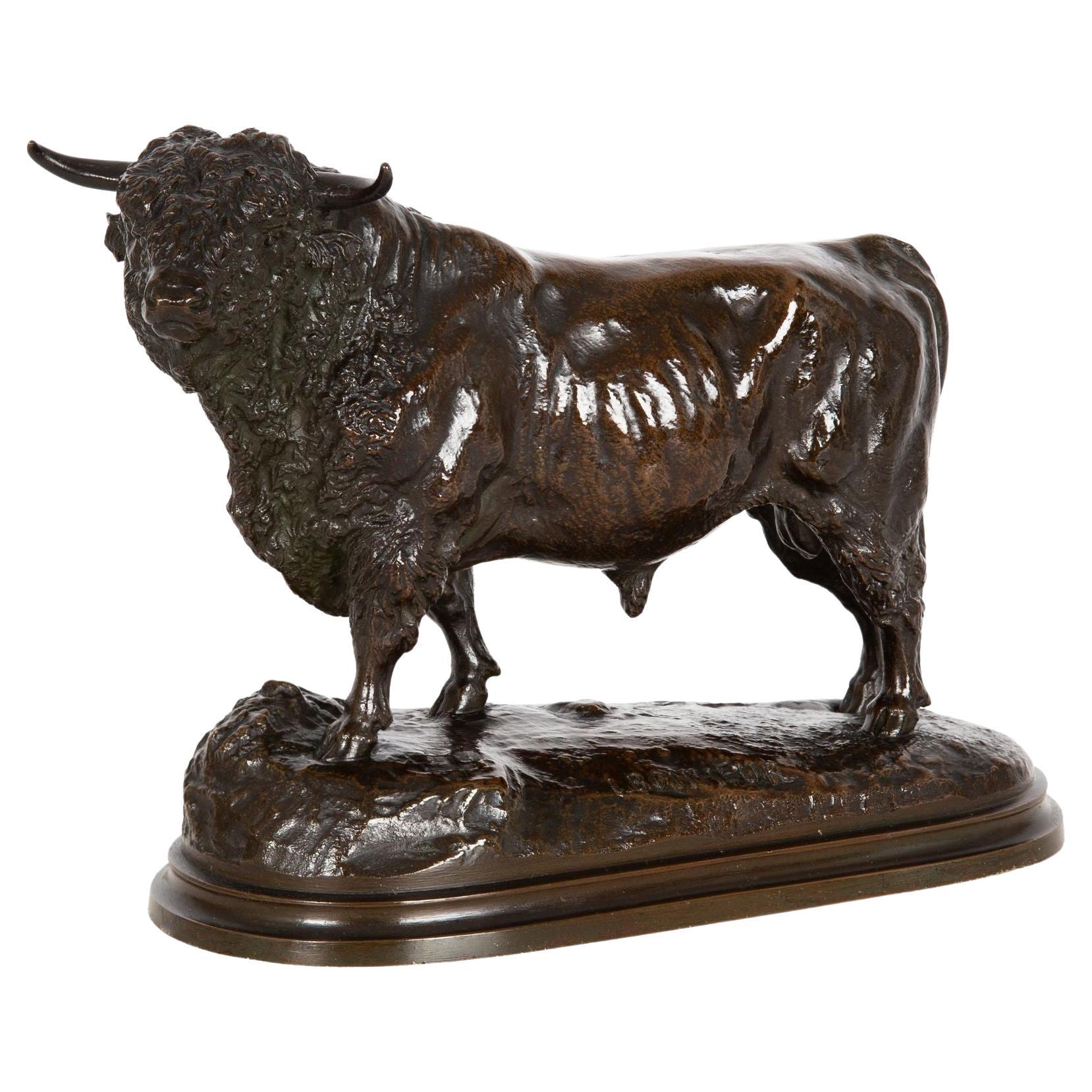 French, Antique Bronze Sculpture of Aberdeen Angus Bull by Isidore Bonheur