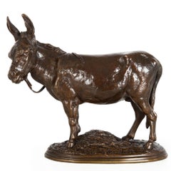 Escultura francesa antigua de bronce "Asno africano" de Auguste Cain