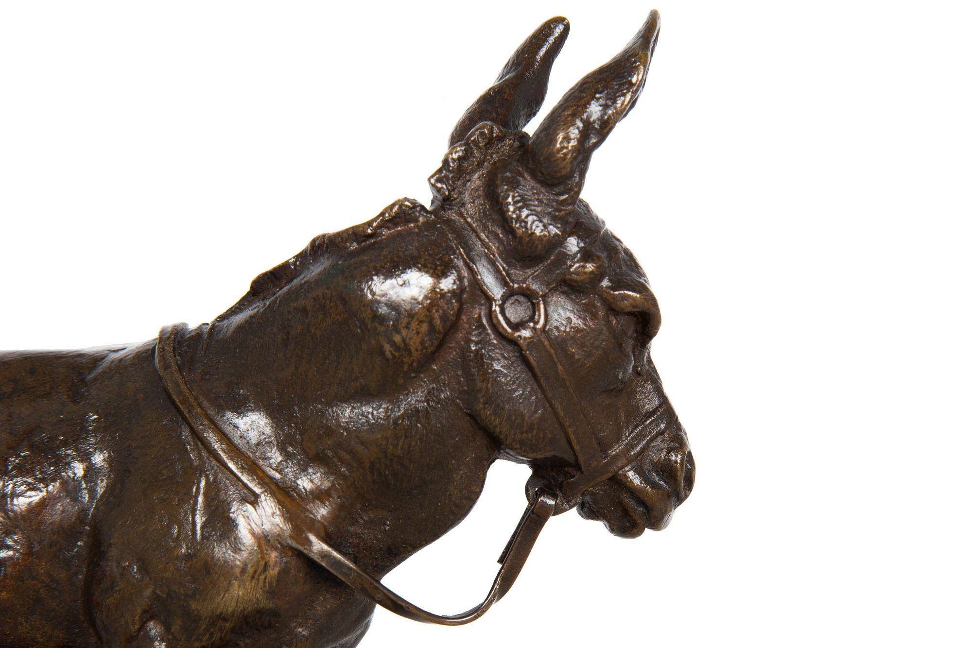 French Antique Bronze Sculpture of “African Donkey” by Auguste Cain 3