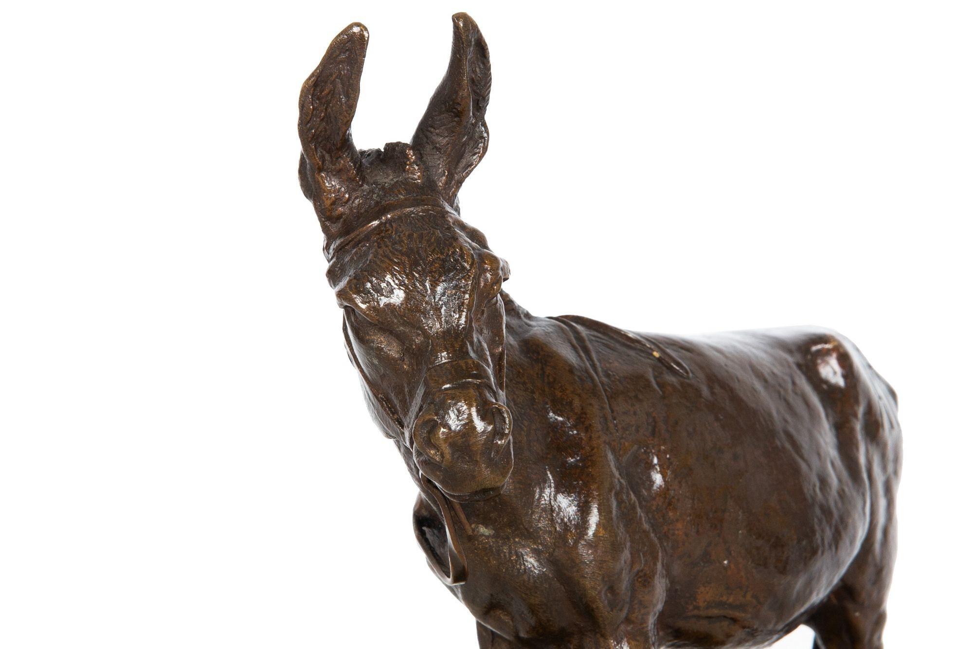 French Antique Bronze Sculpture of “African Donkey” by Auguste Cain 4