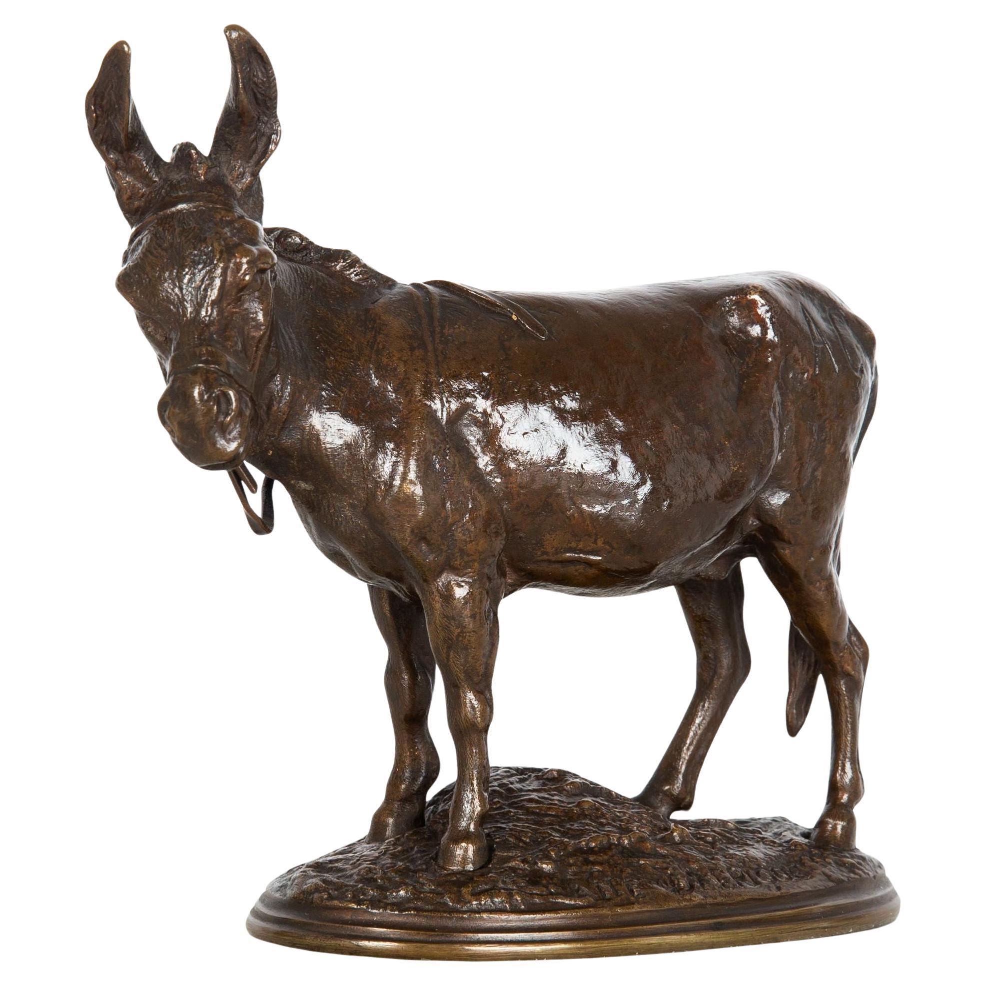 French Antique Bronze Sculpture of “African Donkey” by Auguste Cain