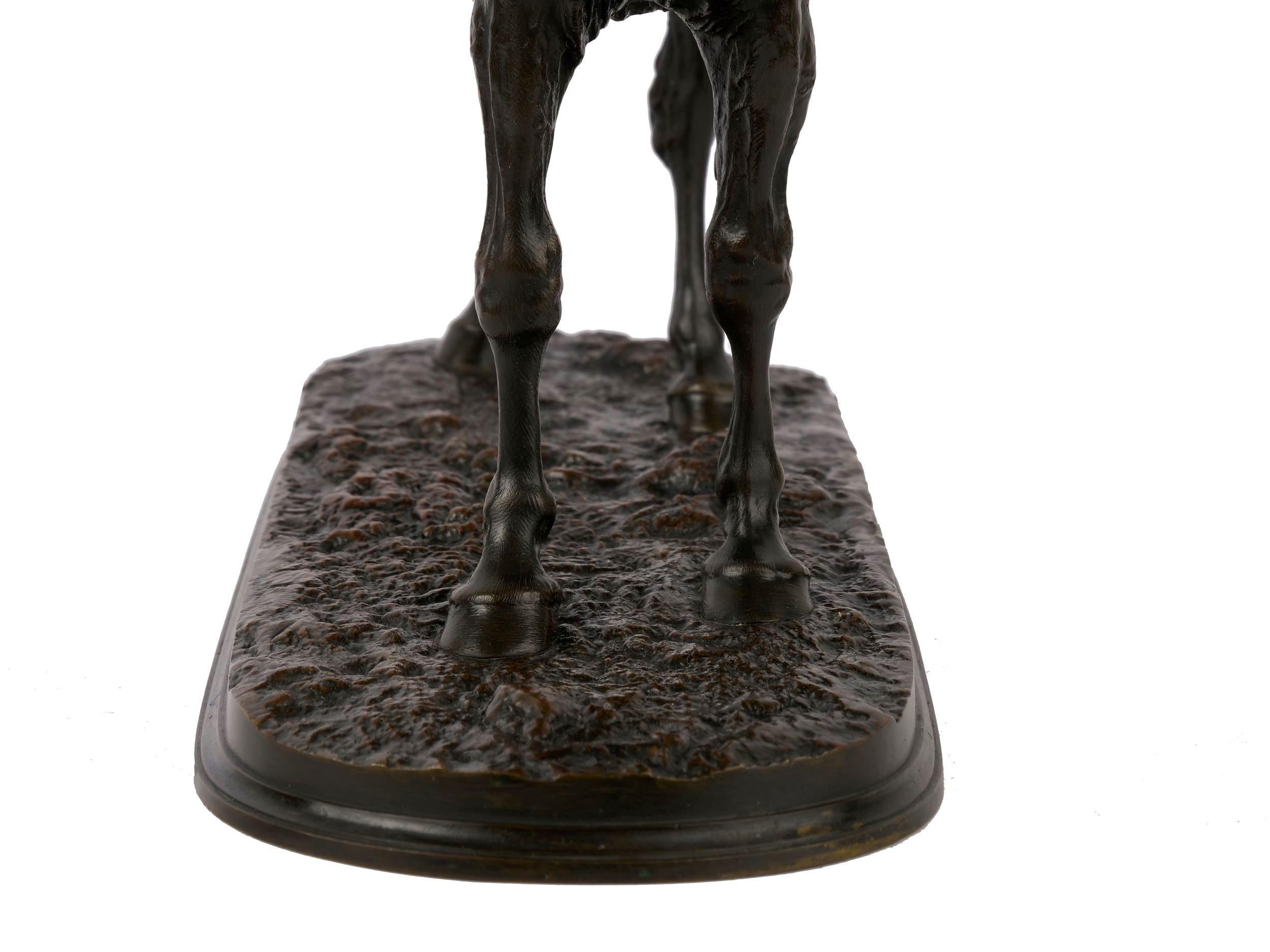 French Antique Bronze Sculpture of Arabian Stallion “Ibrahim” after Pierre Jules 6