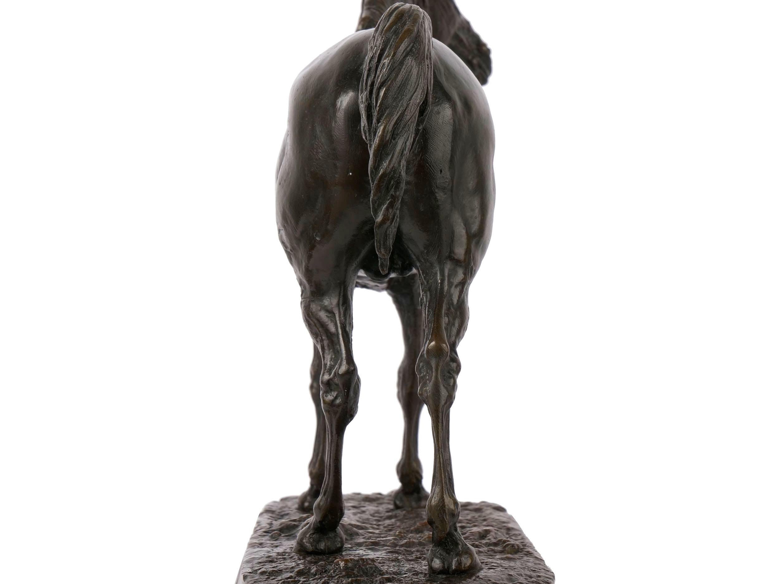 French Antique Bronze Sculpture of Arabian Stallion “Ibrahim” after Pierre Jules 11