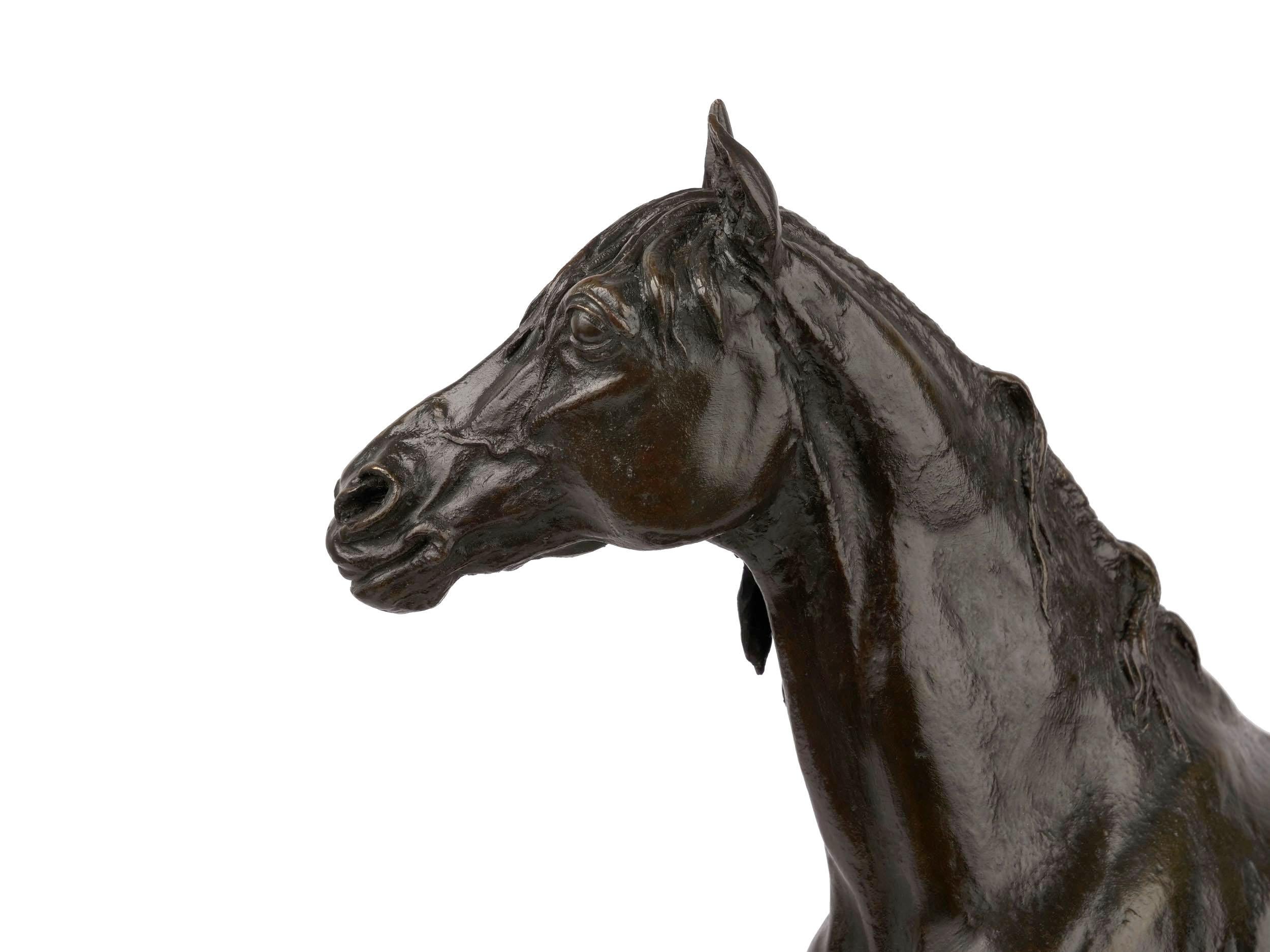 French Antique Bronze Sculpture of Arabian Stallion “Ibrahim” after Pierre Jules 2