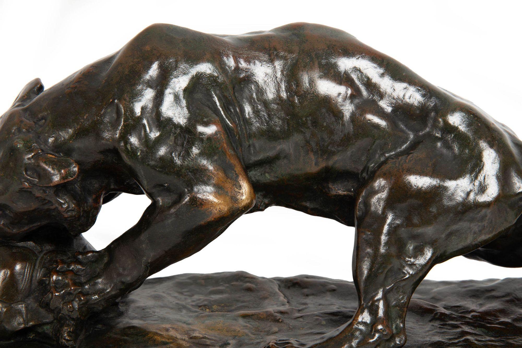 French Antique Bronze Sculpture of “Tiger and Tortoise” after Georges Gardet For Sale 4