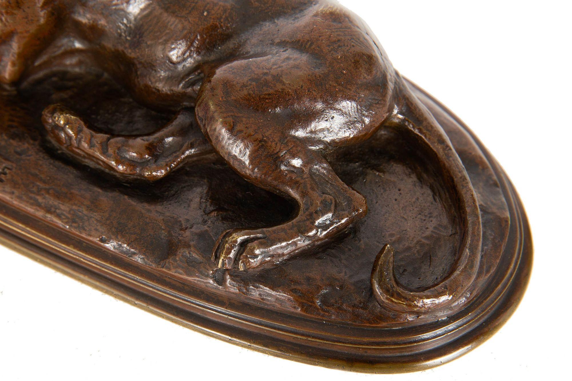 Scultura in bronzo antico francese di Paul Edouard Delabrierre raffigurante una tigre a riposo in vendita 6