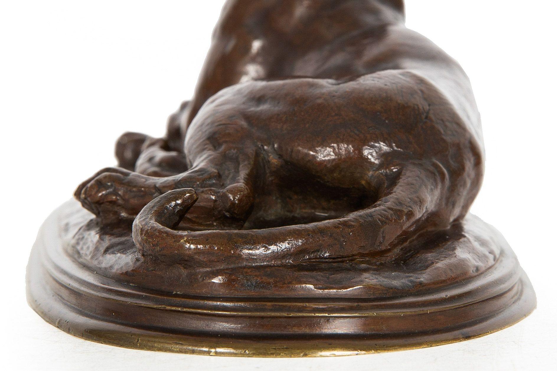 Sculpture française d'antiquités en bronze ancien représentant un tigres au repos par Paul Edouard Delabrierre en vente 8