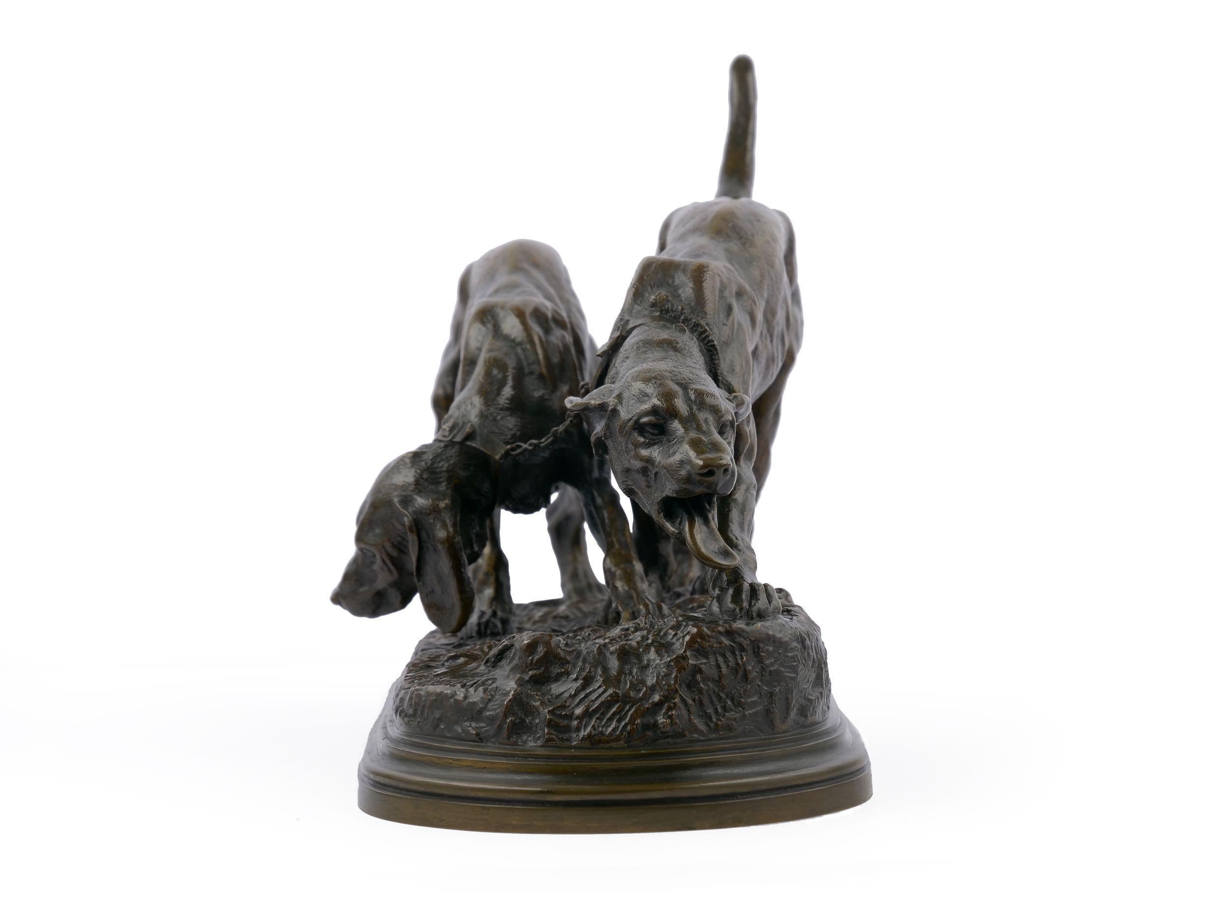 An incredibly fine sand-cast model of two hunting dogs bound together by chain links, they have caught the scent of game in the air and a frenzy has overtaken both of them. The work is almost certainly cast by the Hippolyte Peyrol foundry in light