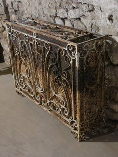 French Antique Front Fireplace in Iron, Paris, France, 19th Century